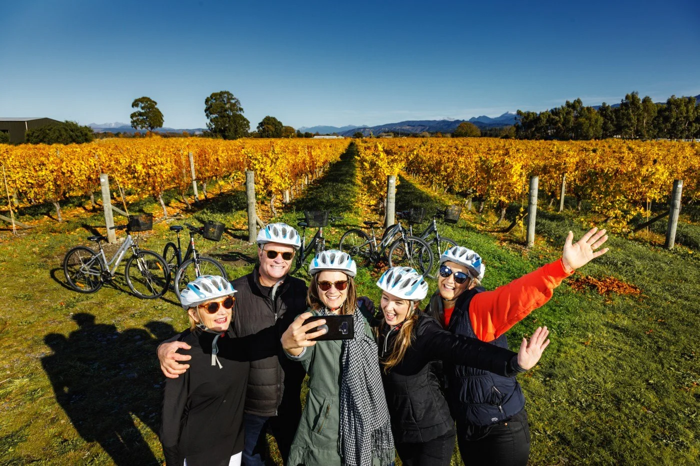 Group of cyclists taking a selfie among golden vineyard rows in Marlborough on a sunny day.