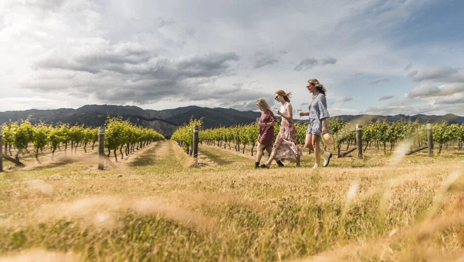 Wine tasting in a vineyard