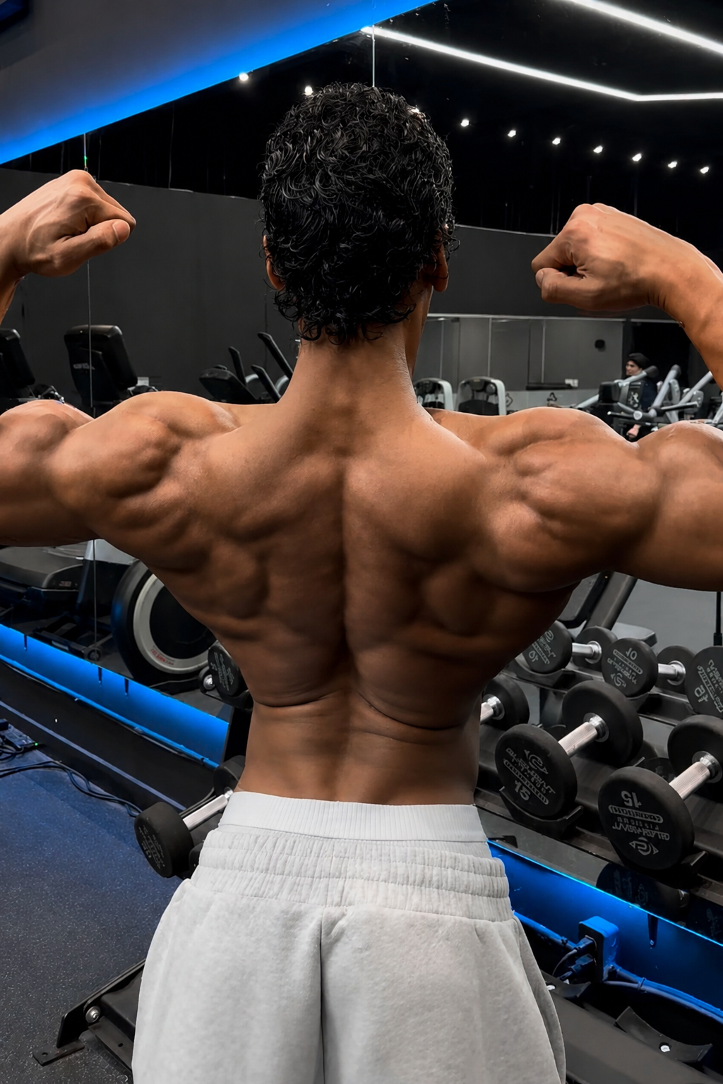 Back / Pull Program