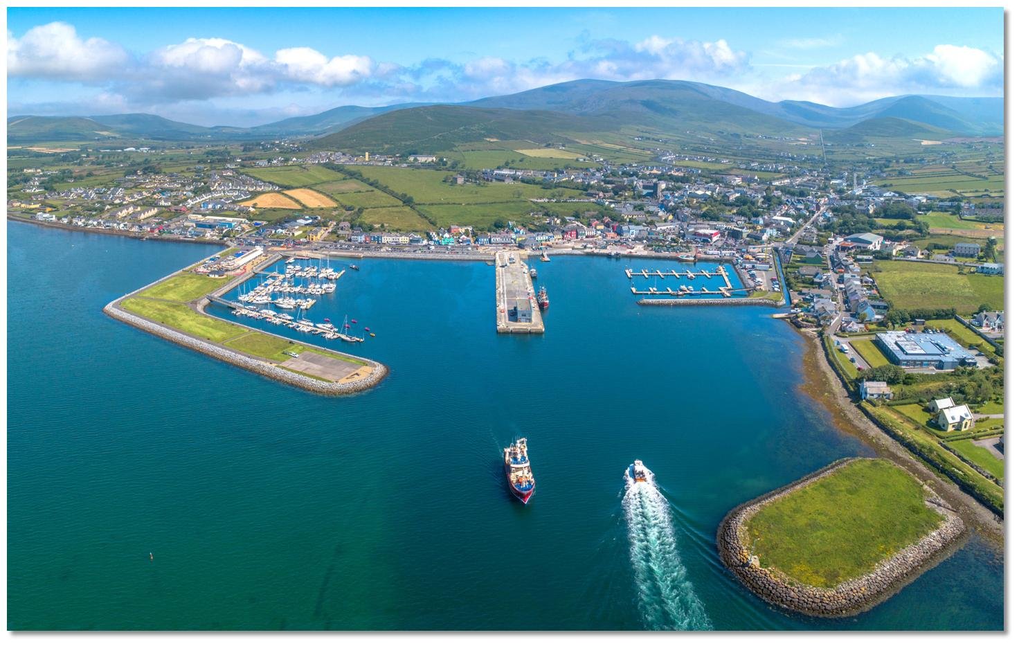 The Harbour