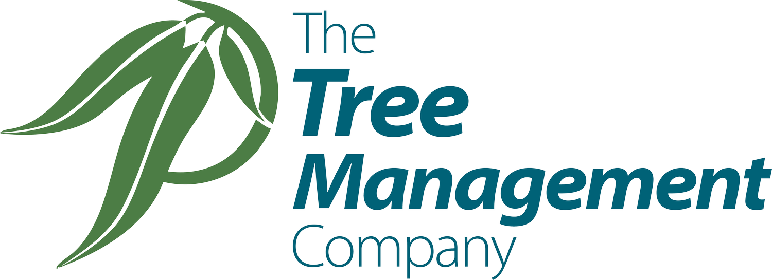 The Tree Management Company
