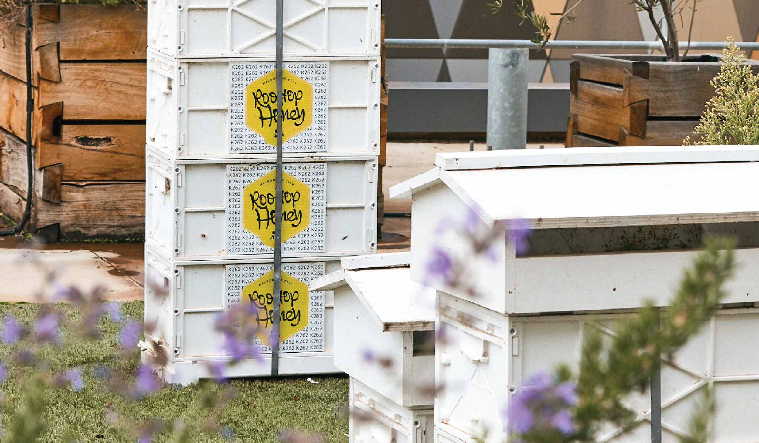 Multiple white crates with yellow labels reading 'Root Hop Honey' stacked outdoors, with wooden planters and greenery in the background.