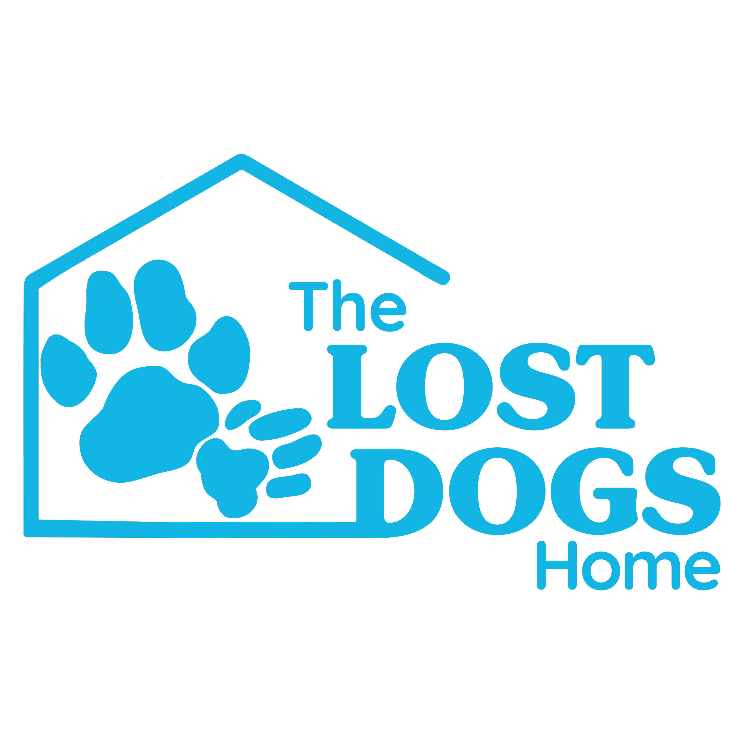 A black background with a blue outline of a house and paw print, containing the words "The Lost Dogs Home" in blue.