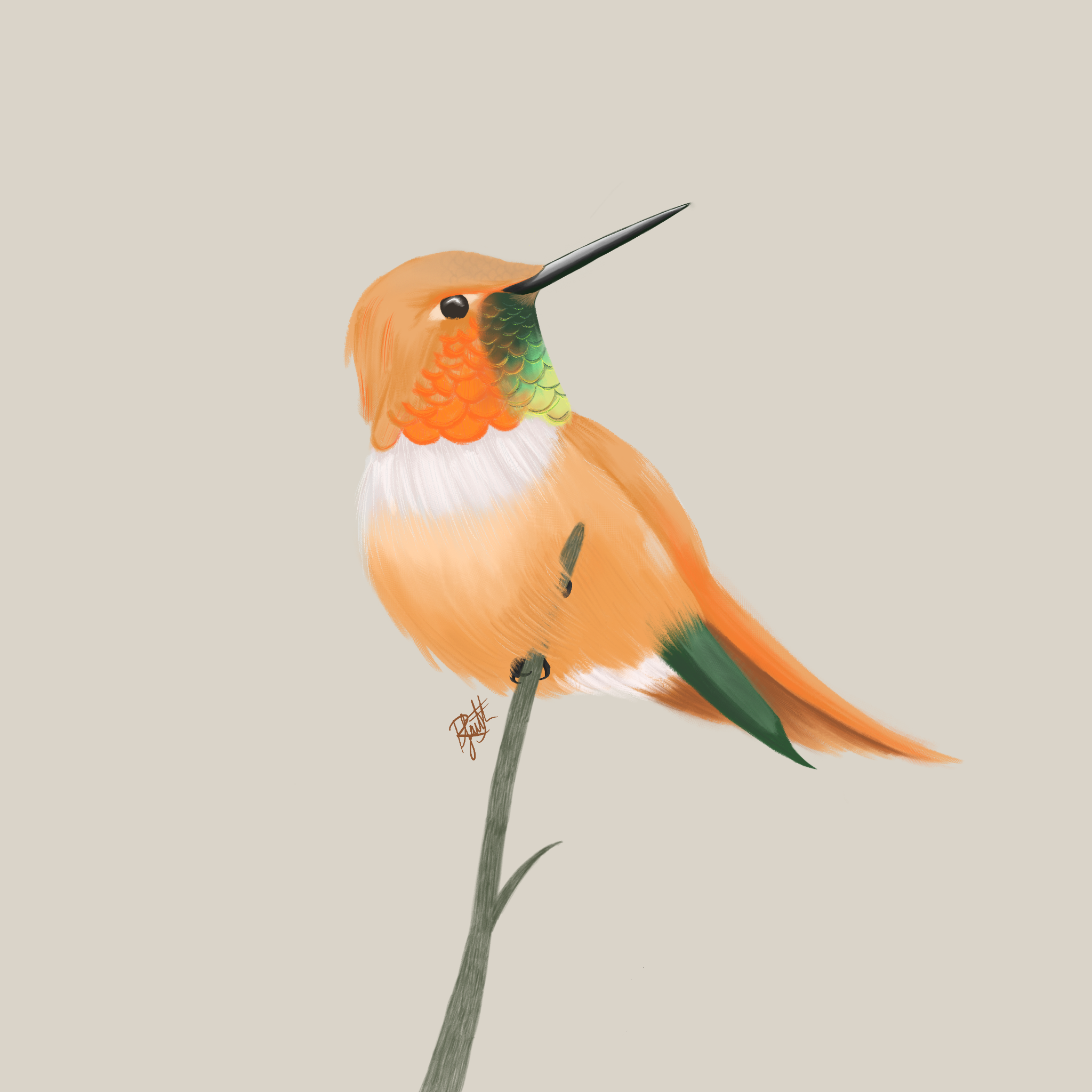 A digital painting of a hummingbird with orange, green, and white feathers perched on a thin stem against a plain beige background.