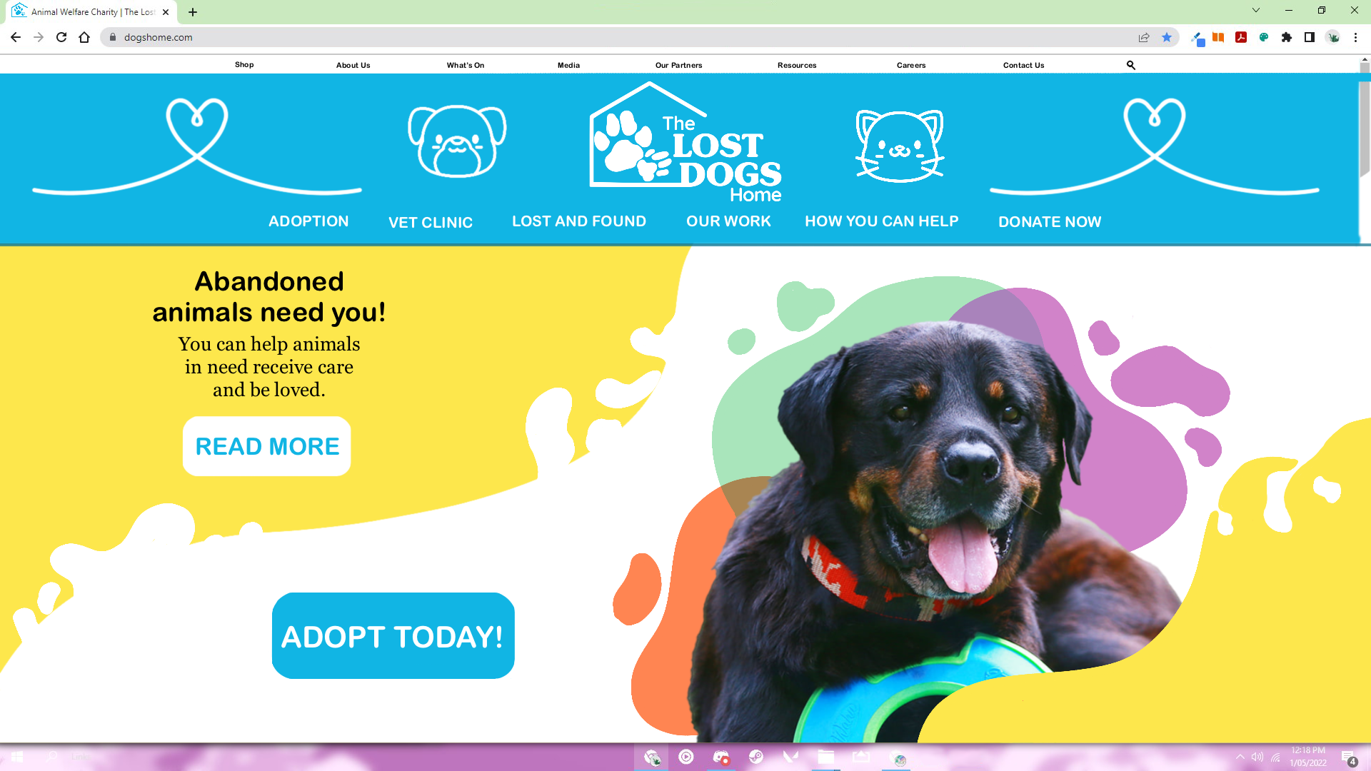 A webpage mockup from the Lost Dogs Home featuring an image of a happy black and brown puppy sitting with its tongue out, surrounded by colorful abstract shapes, and section headings about animal rescue and adoption.