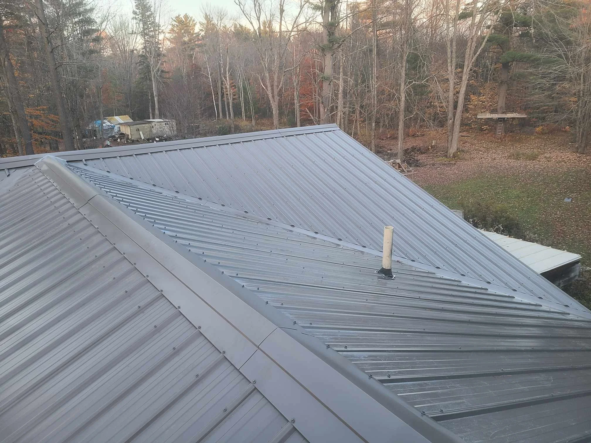 A view from a rooftop looking at a wooded area with trees and an outdoor treehouse in the distance, during autumn.