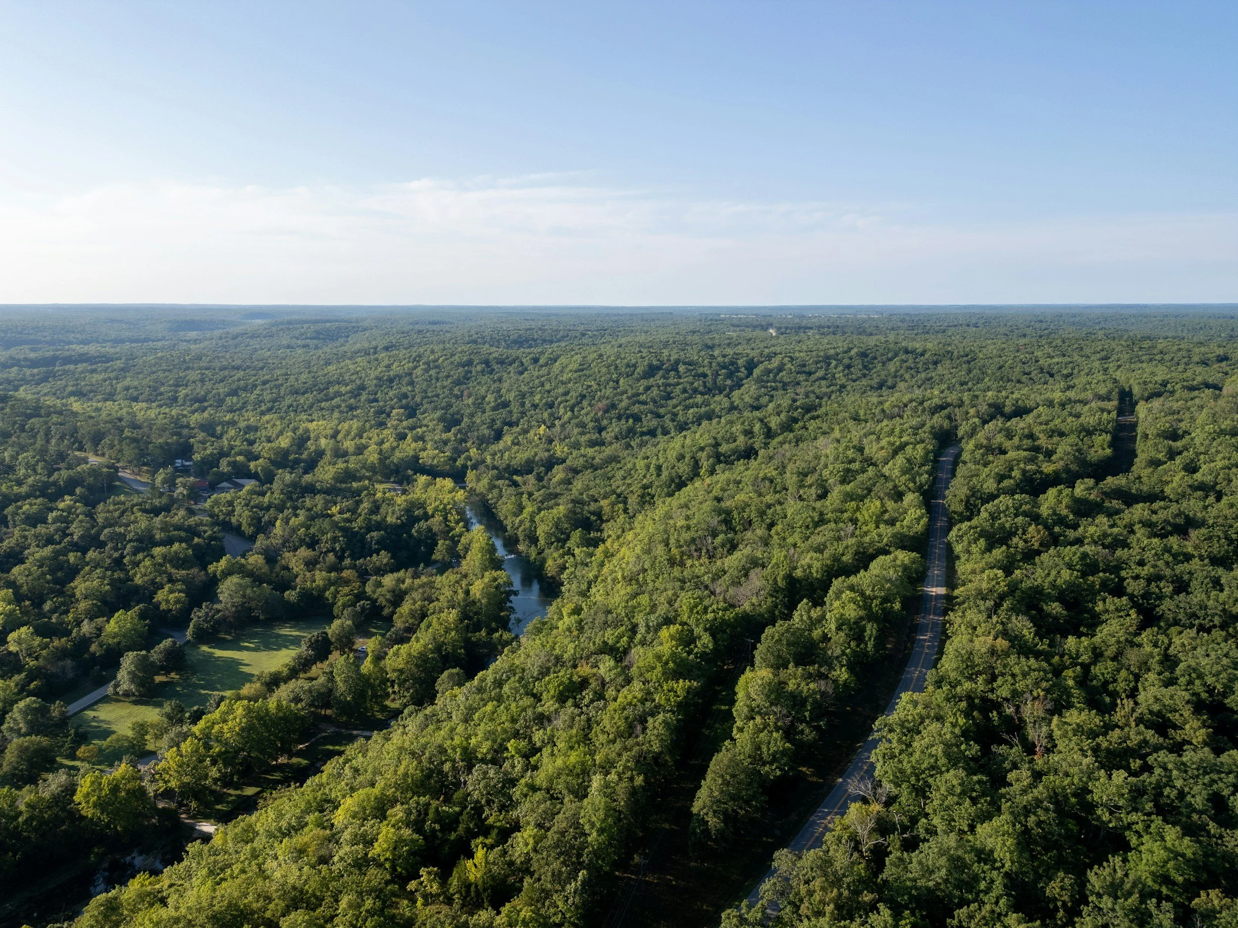 Aerial view of a lush green forest with roads and houses scattered throughout, under a clear blue sky.
