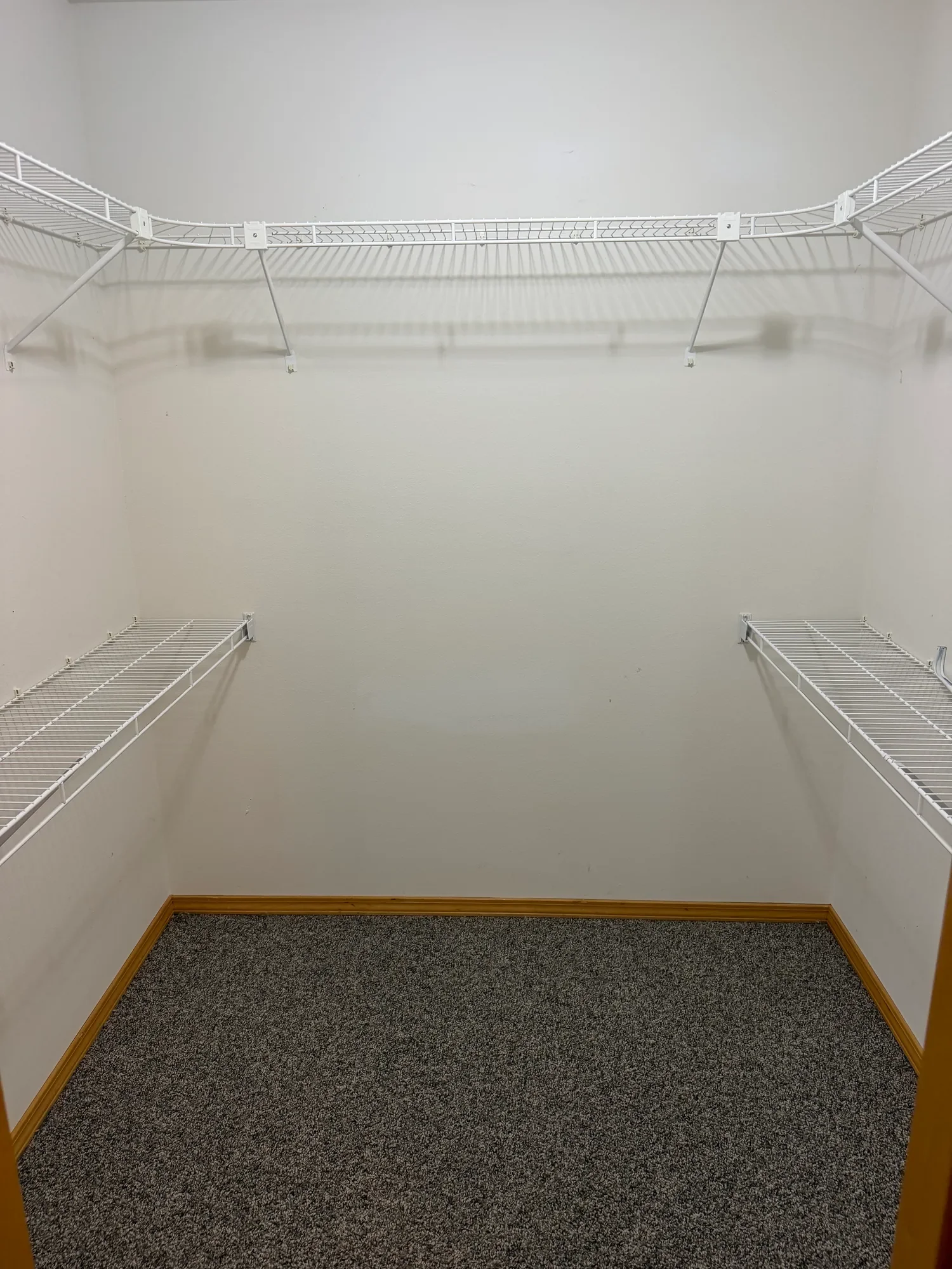  Walk-in closet with wire shelving on three sides 