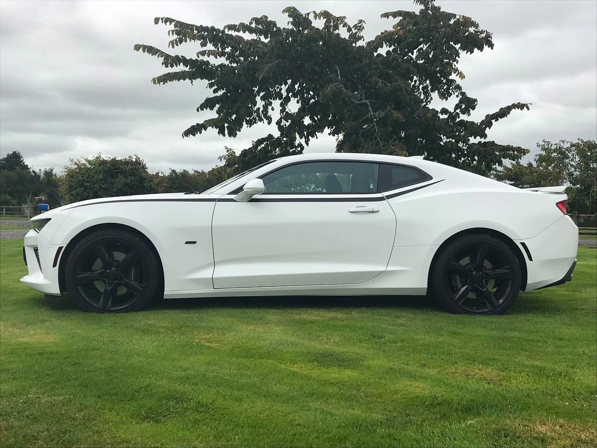 A white sports car with black wheels parked on green grass, with a large leafy tree and cloudy sky in the background.