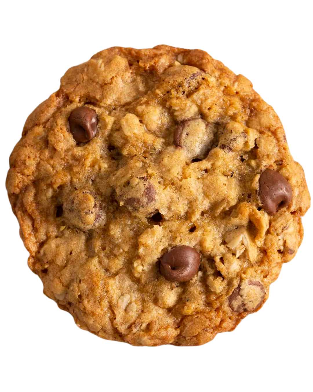 Double Chocolate Chip Oatmeal