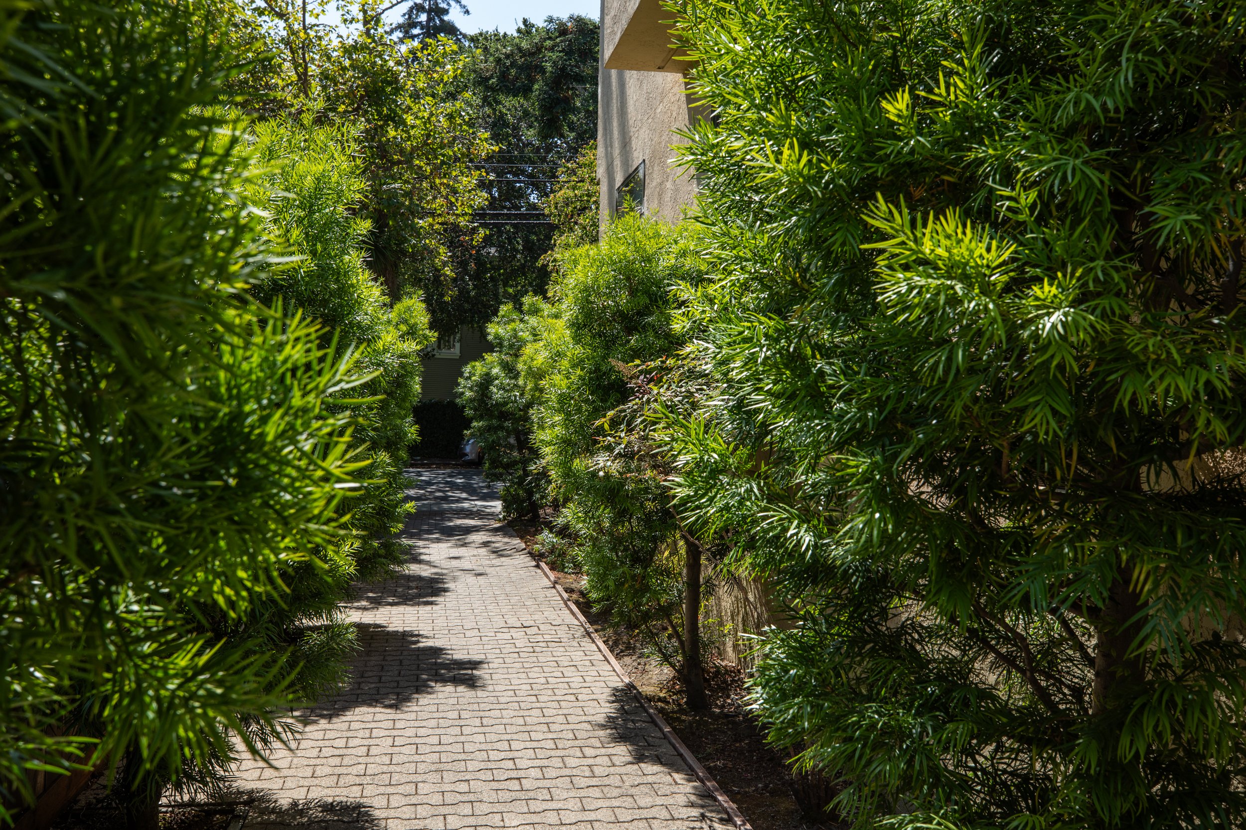 24-Bellevue_Matt_Anello-5006-MLS.jpg