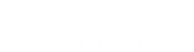 SENDER PROVISIONS CO. logo with stylized text