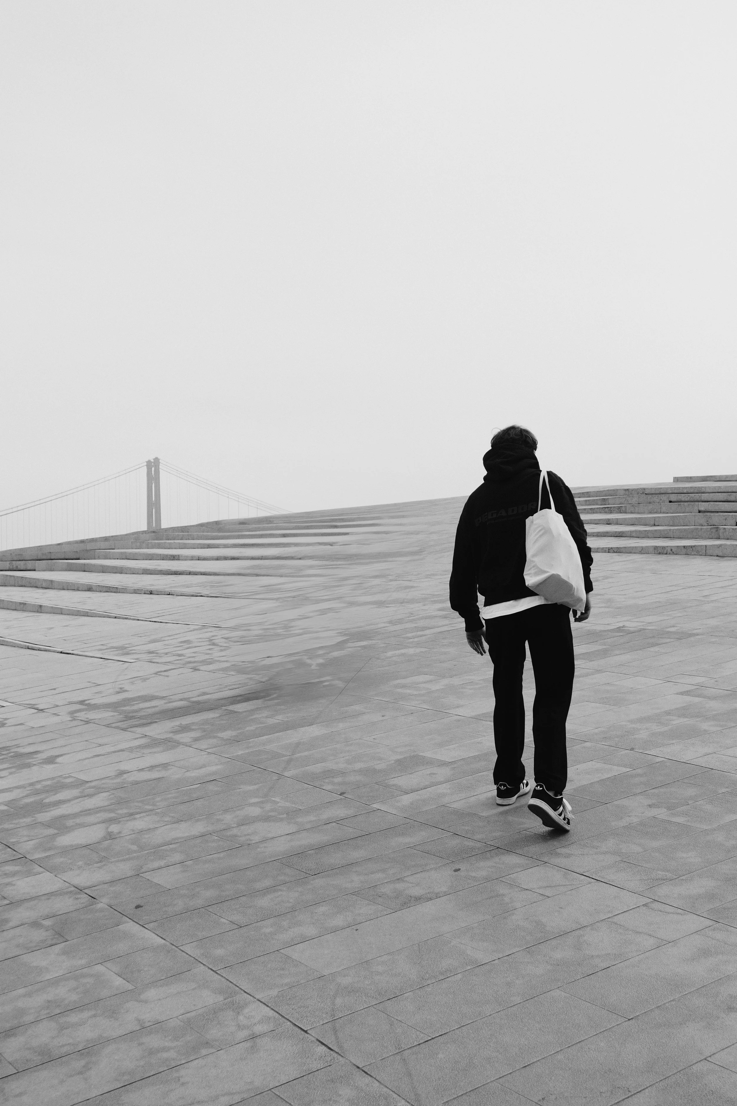 A person walking up stairs with a bridge in the distance, surrounded by a foggy sky.