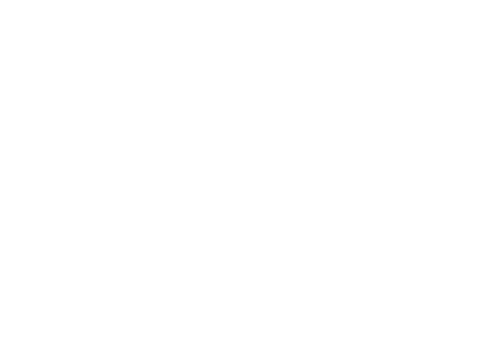 Black and white logo of a bear with the word 'SOREL' underneath.