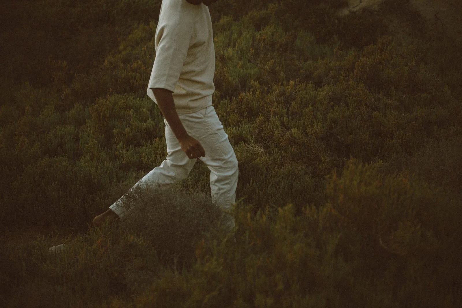A person walking in a field of dense, low green bushes during golden hour, dressed in beige clothing.