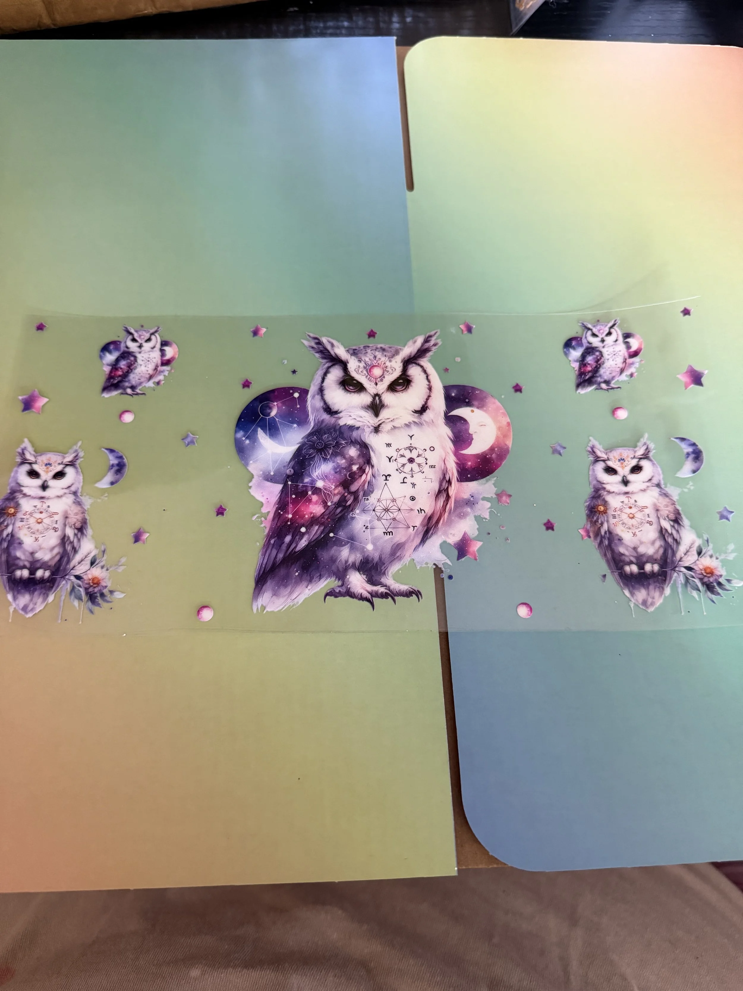 purple owl.jpg