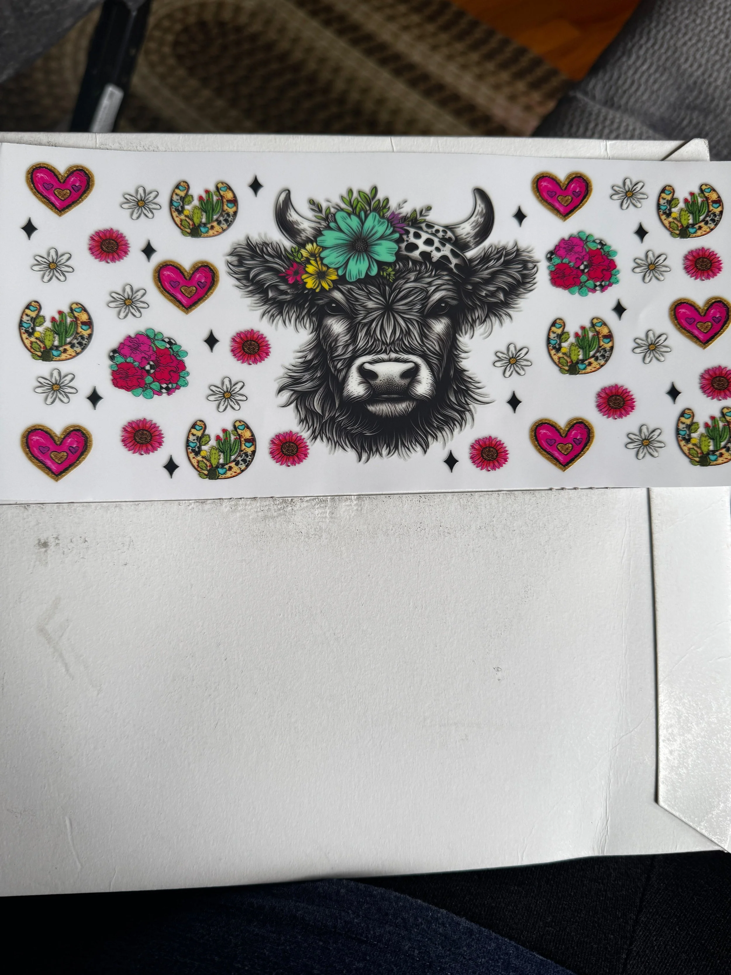 Western highland cow