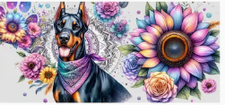 Doberman dog