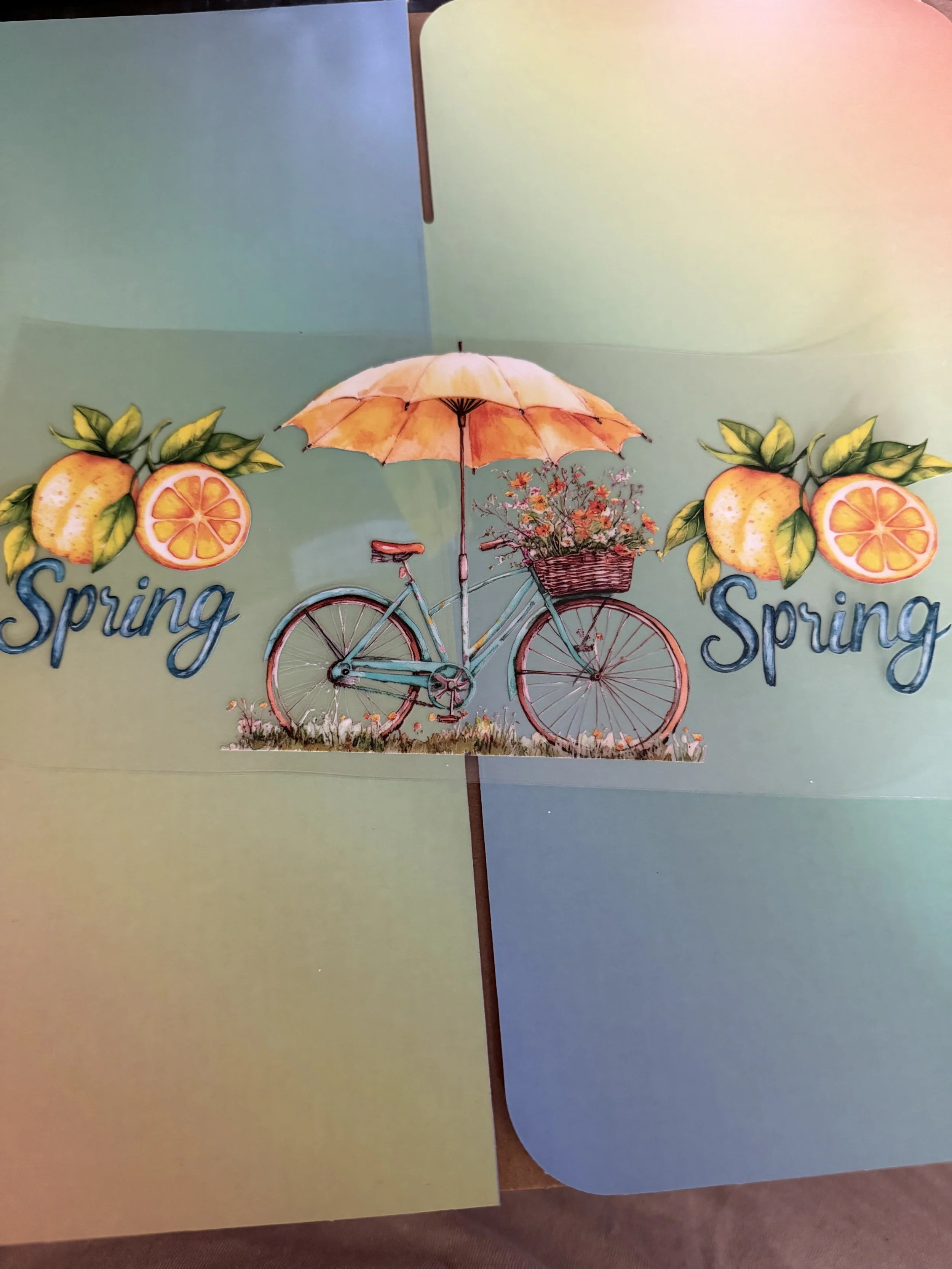 spring bike.jpg