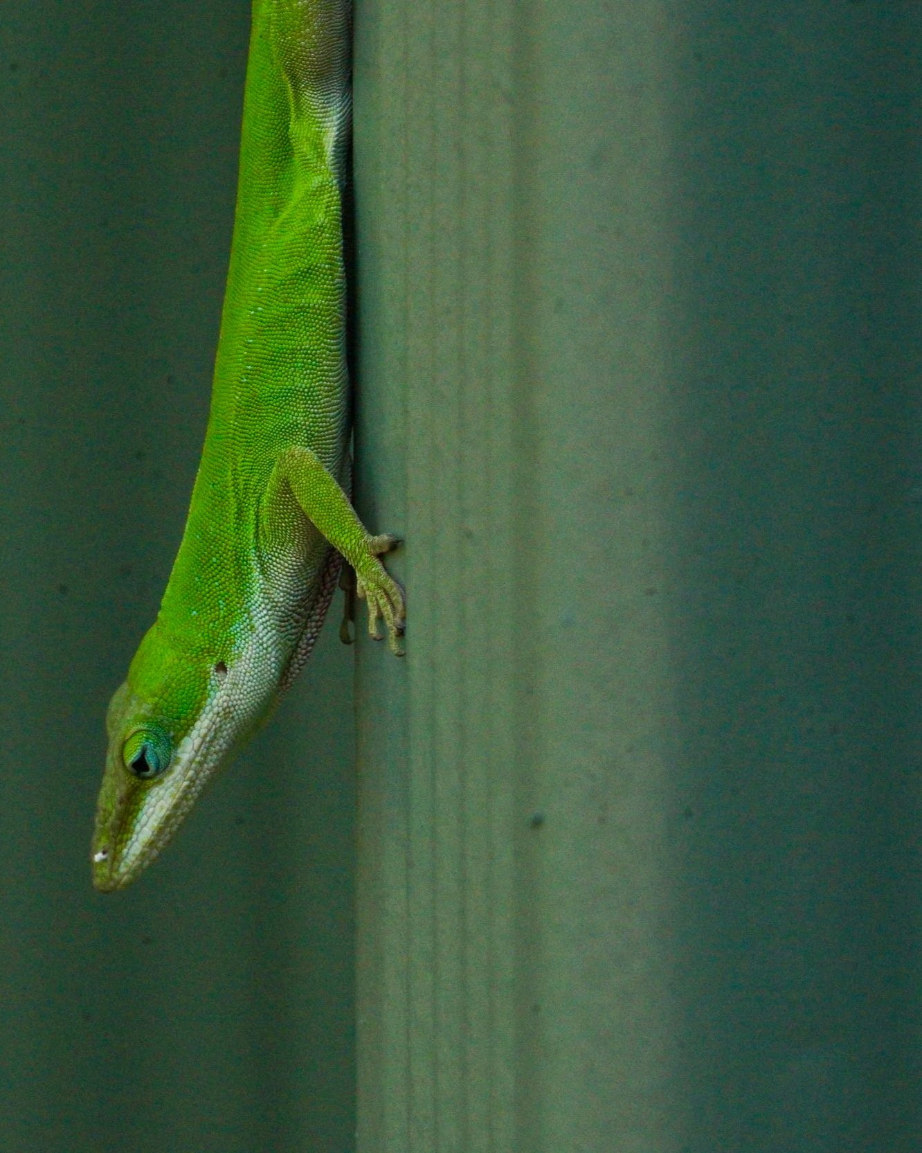 DSC04592.jpg