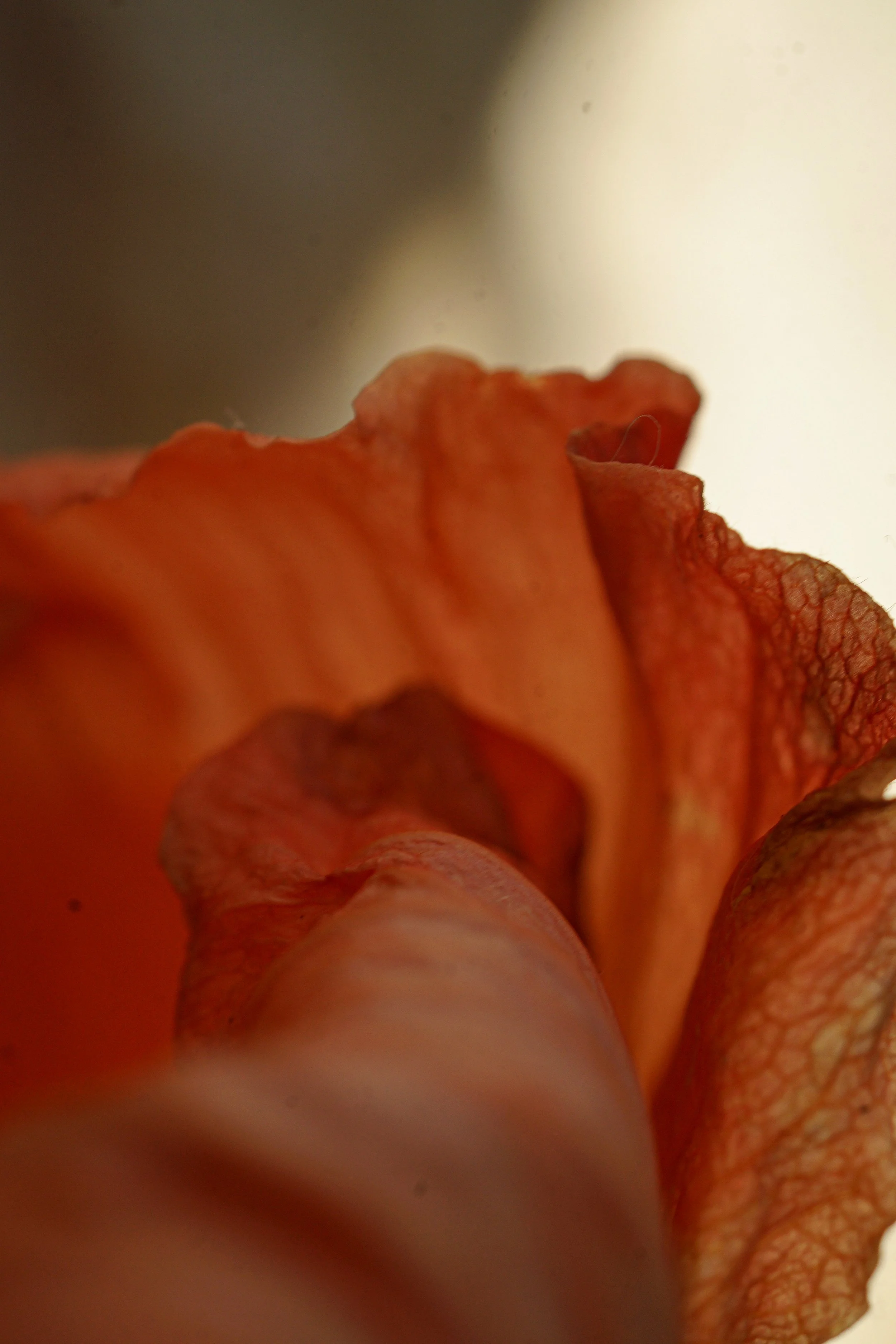 DSC09215.jpg