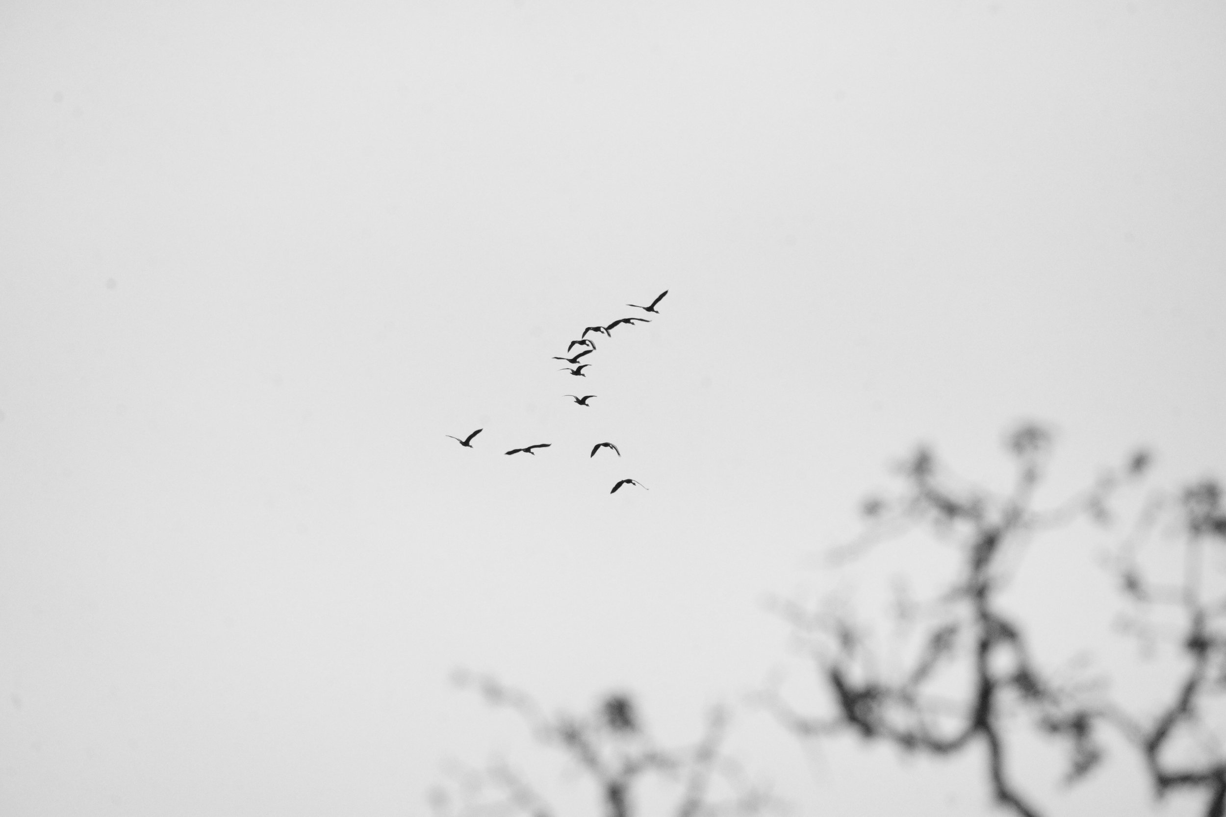 DSC04860.jpg