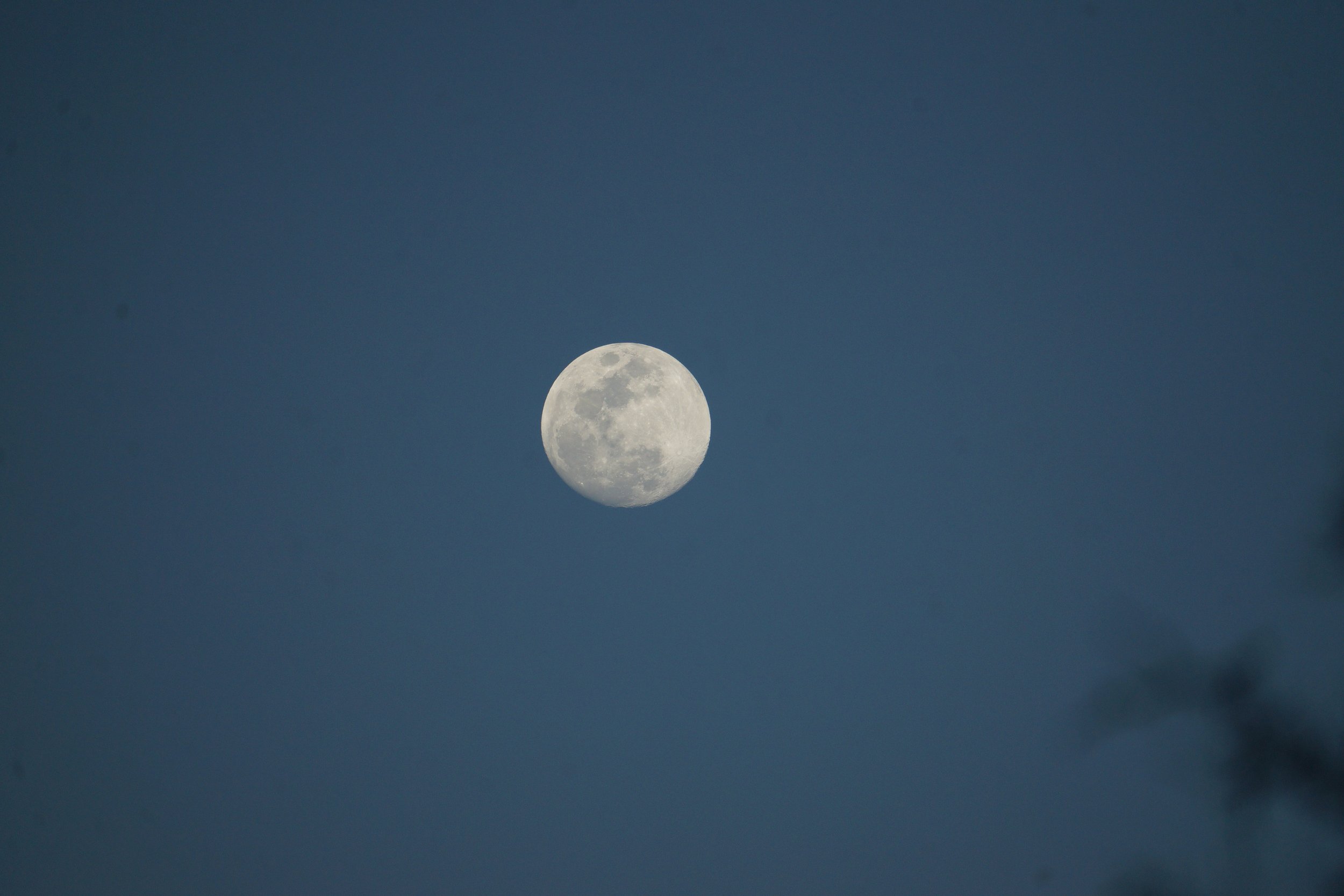 DSC03484.jpg