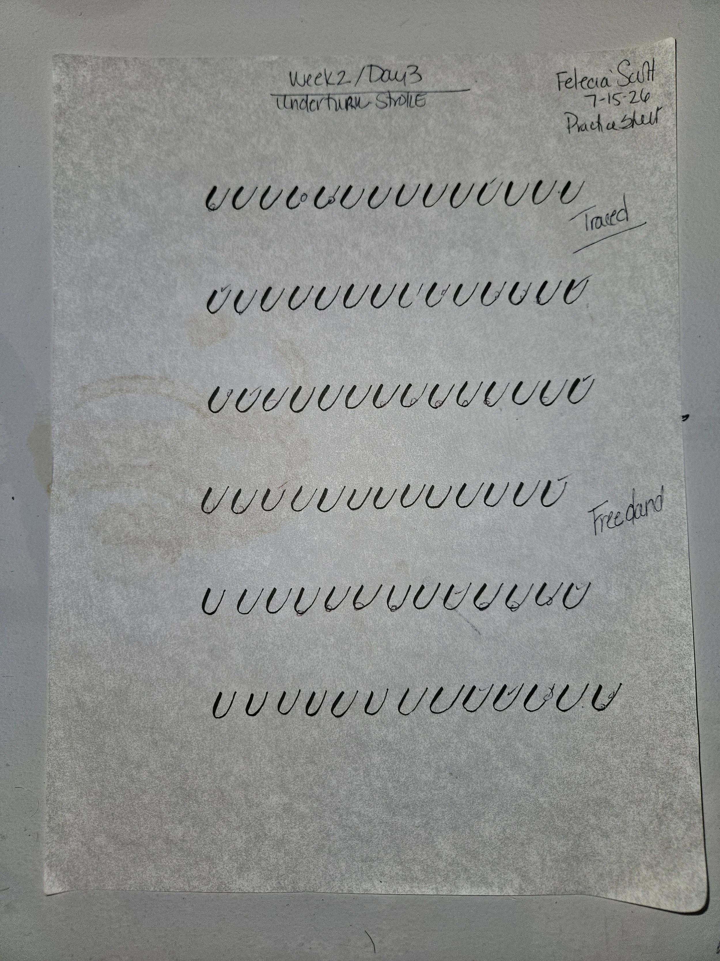 20260715_094115.jpg