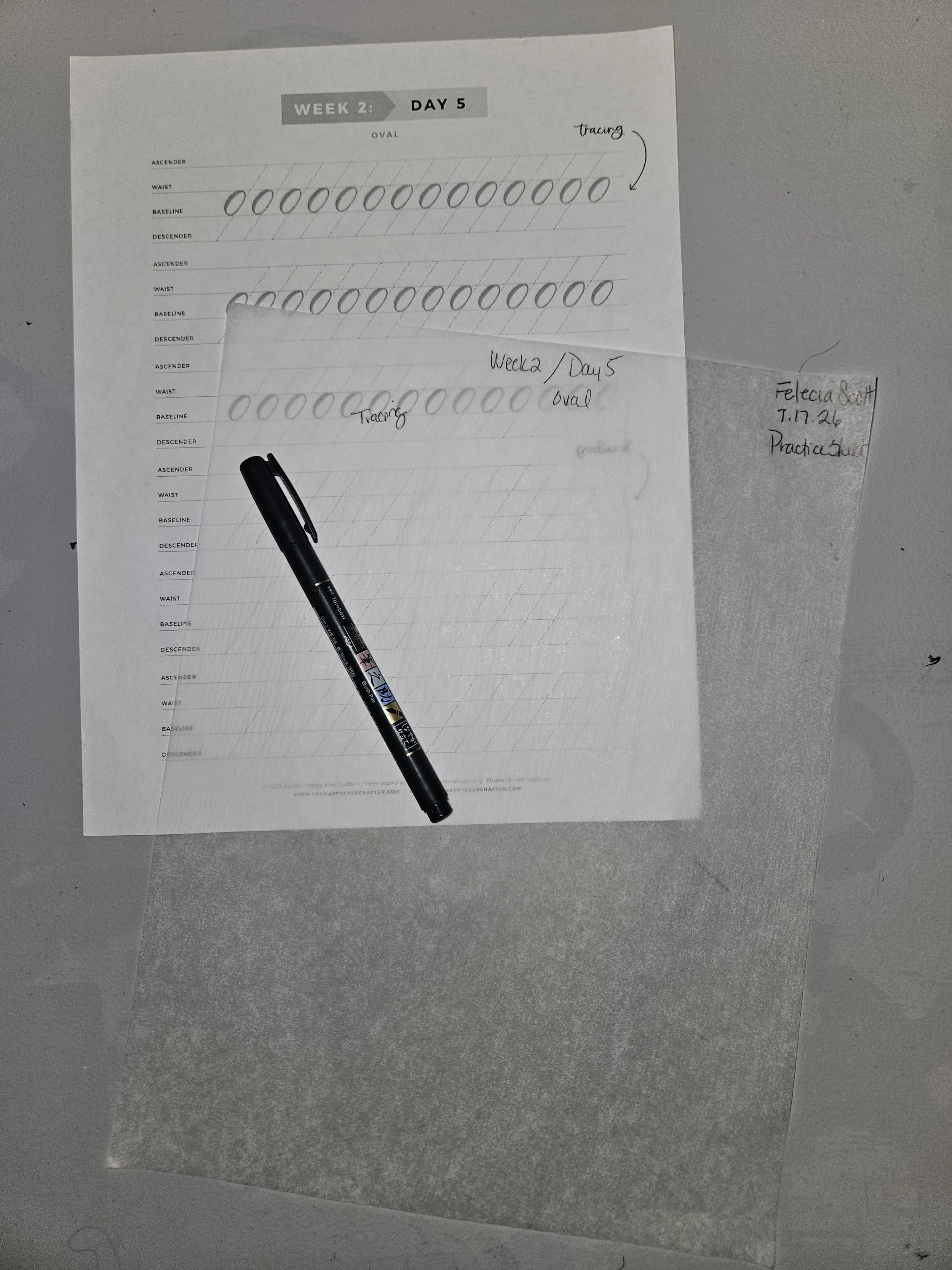 20260717_075245.jpg