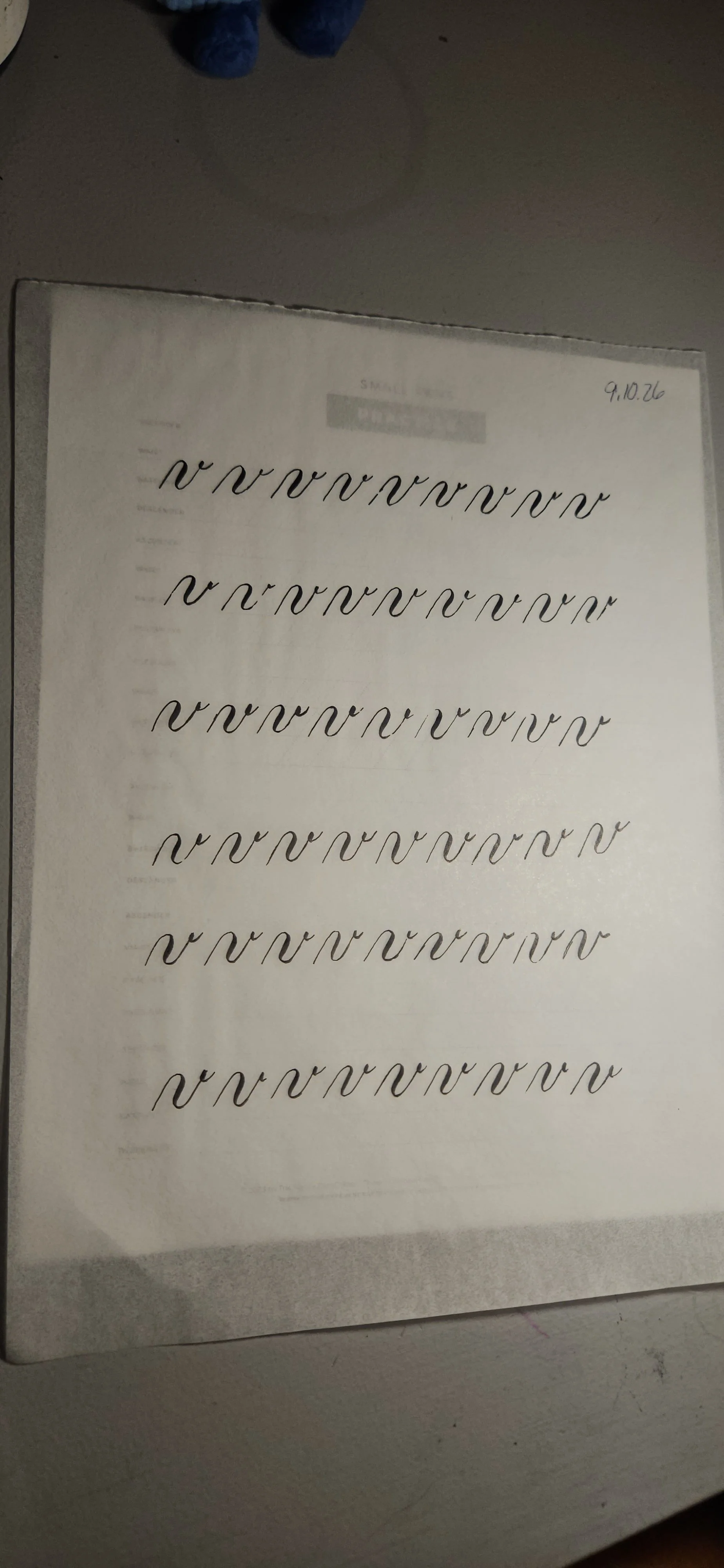 20260910_082146.jpg
