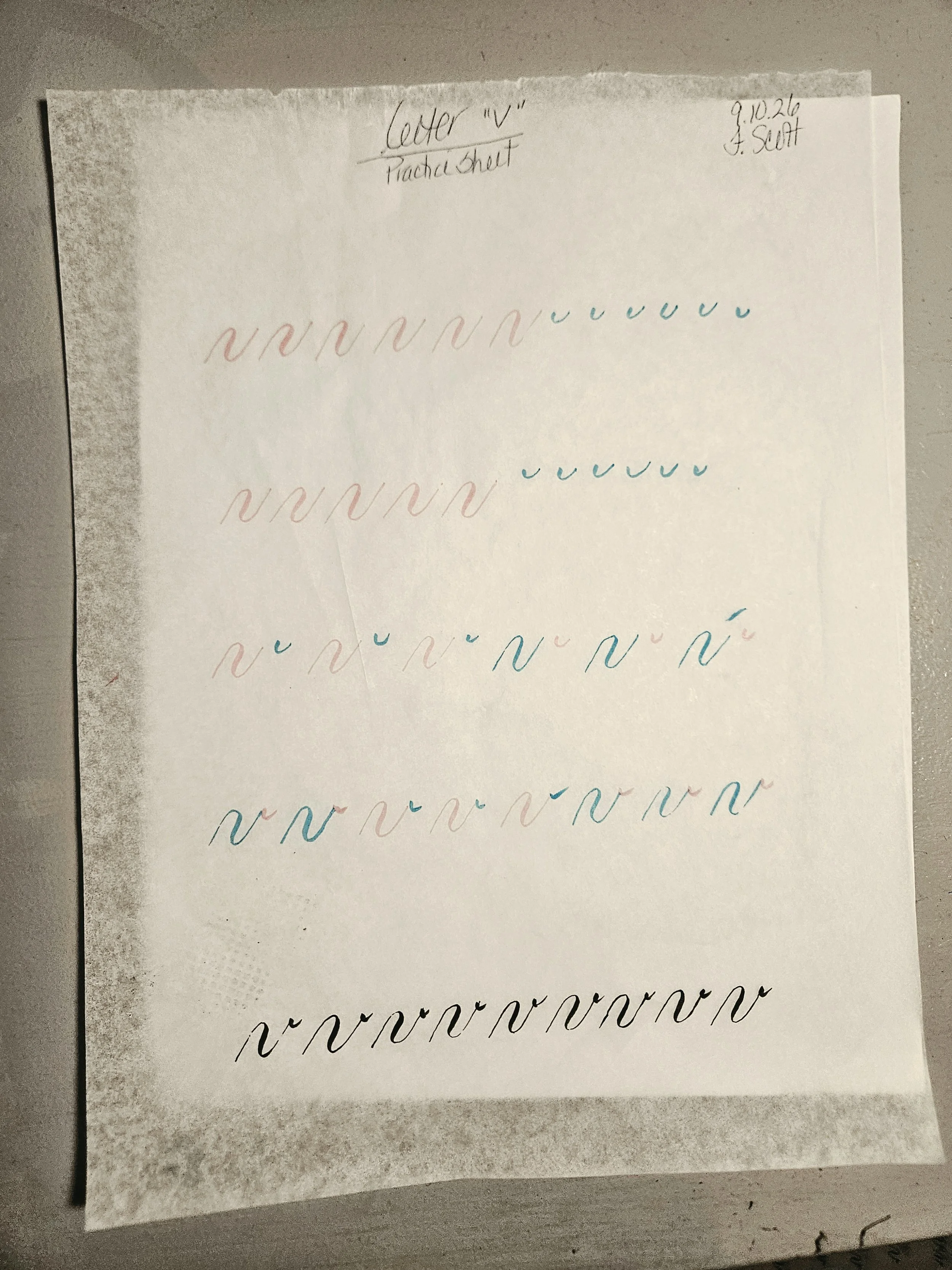 20260910_120830.jpg