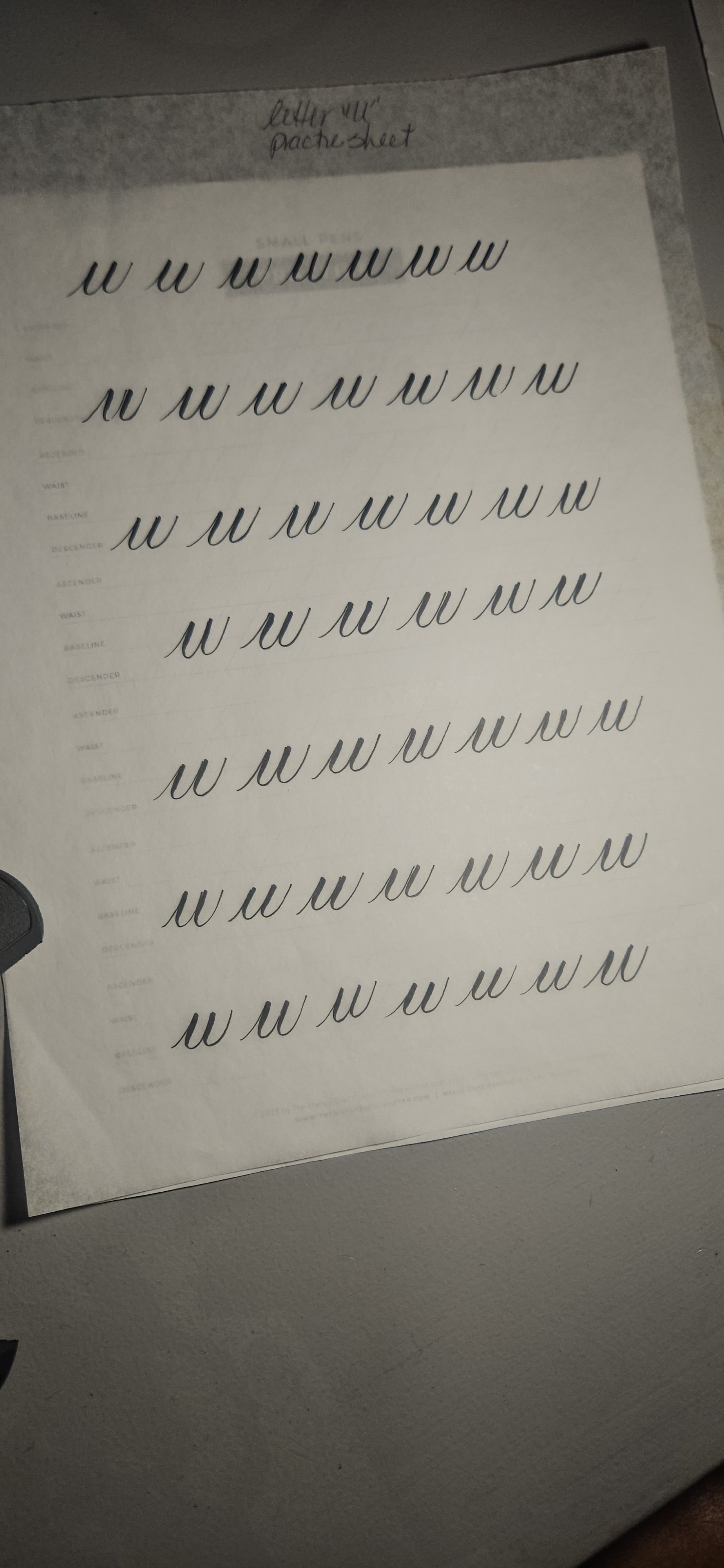 Time Lapse Letter _t_ Ending.jpg