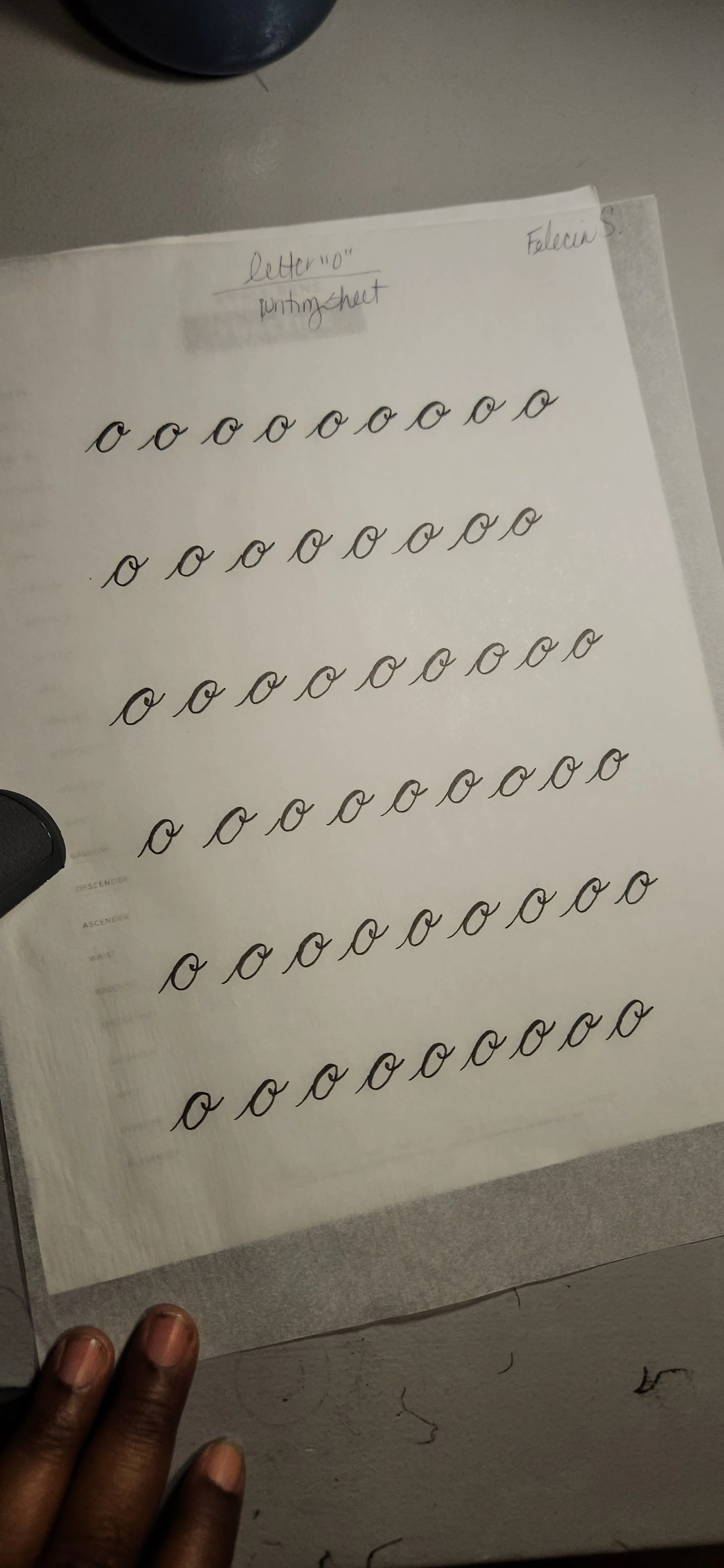 20260829 Letter _o_ Writing Practice Sheet.jpg