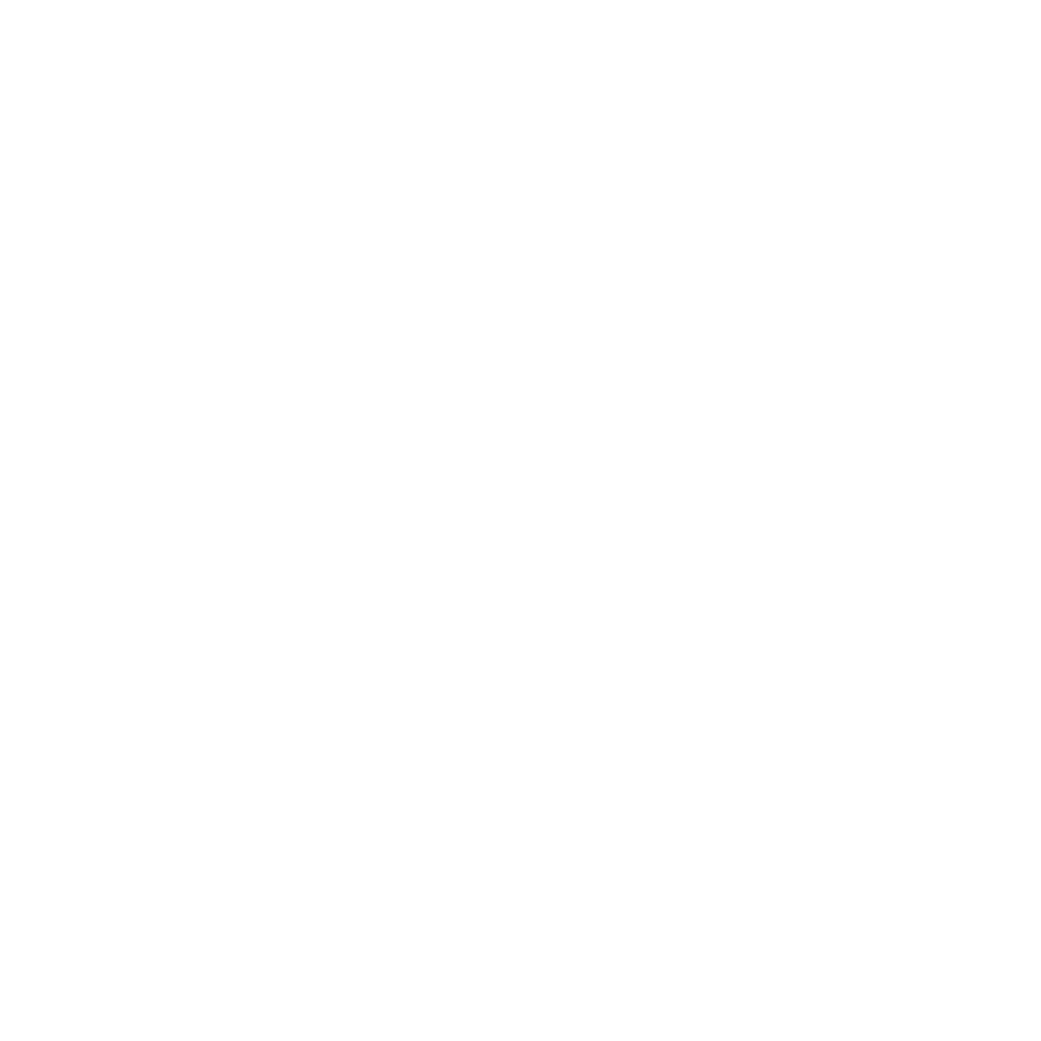 Steel and Starlight Fitness Home Page