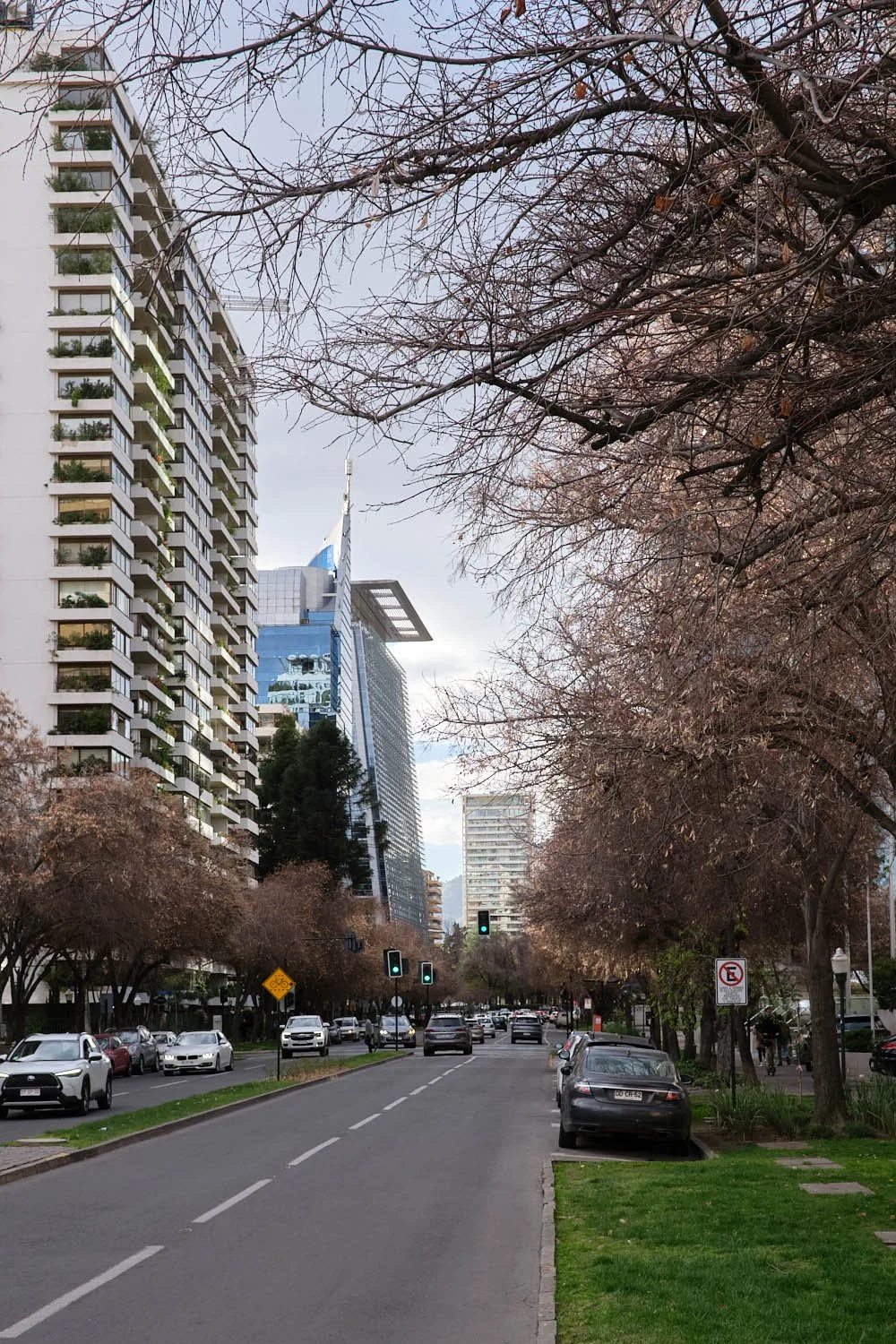 Avenida arbolada con edificios del barrio El Golf, cerca de la casa