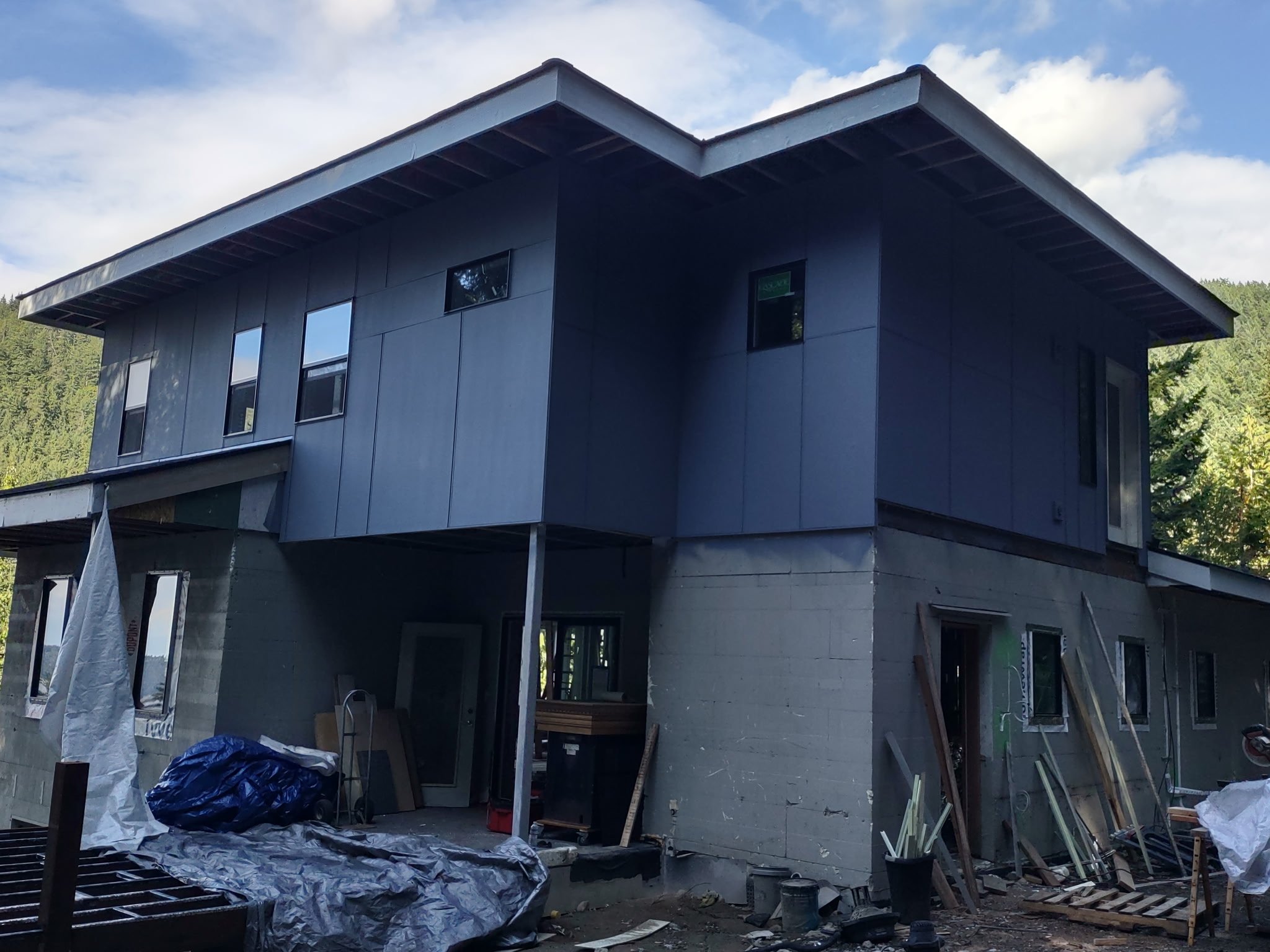 EXTERIOR_DARK_SIDING_WINDOW_PAINTING.JPG
