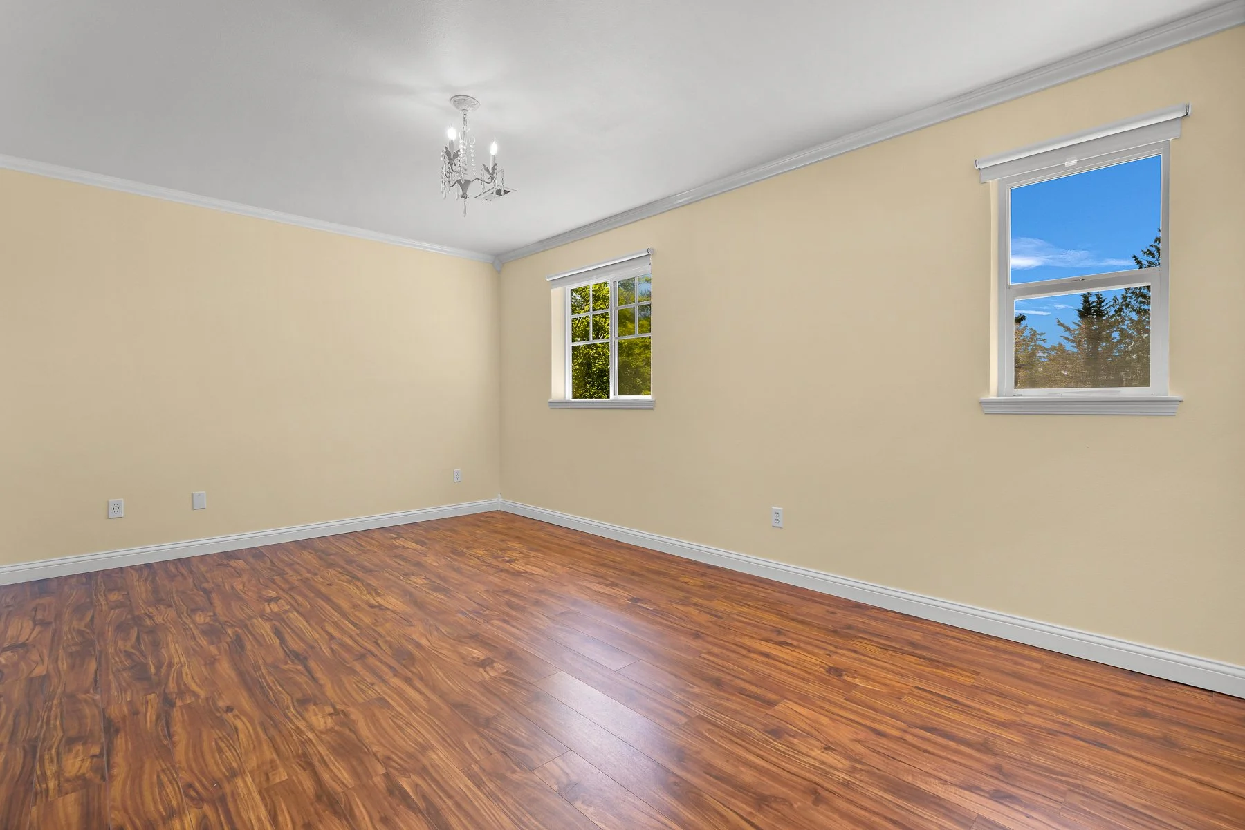 Interior Painting.jpg