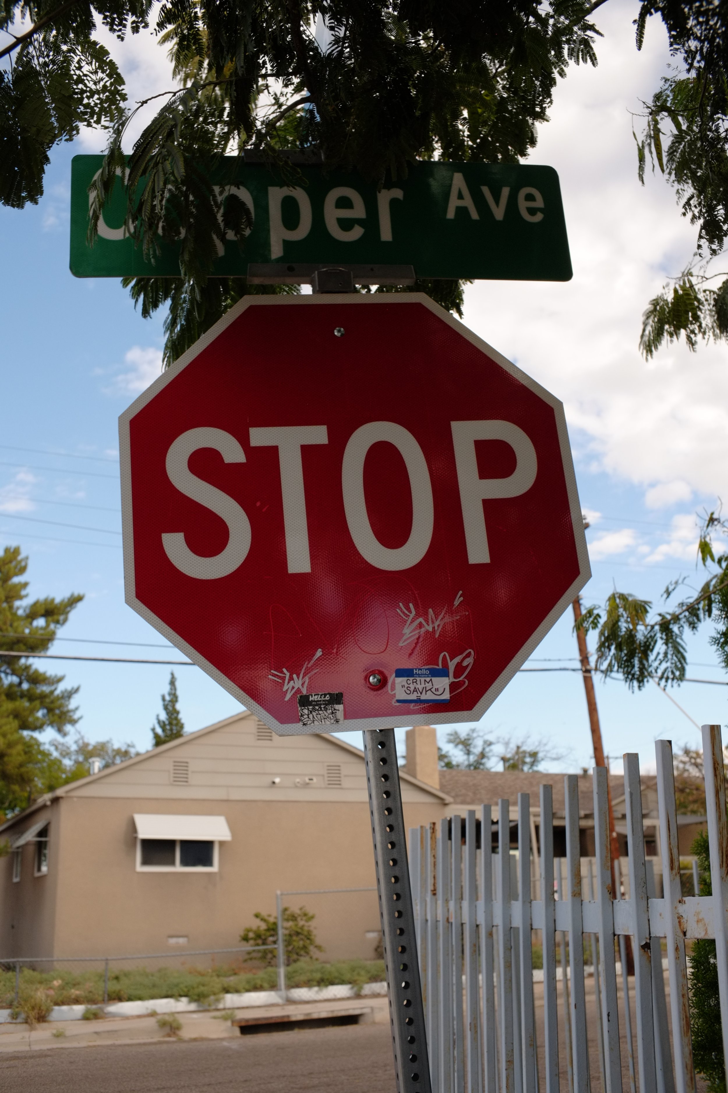 DSCF1225.JPG