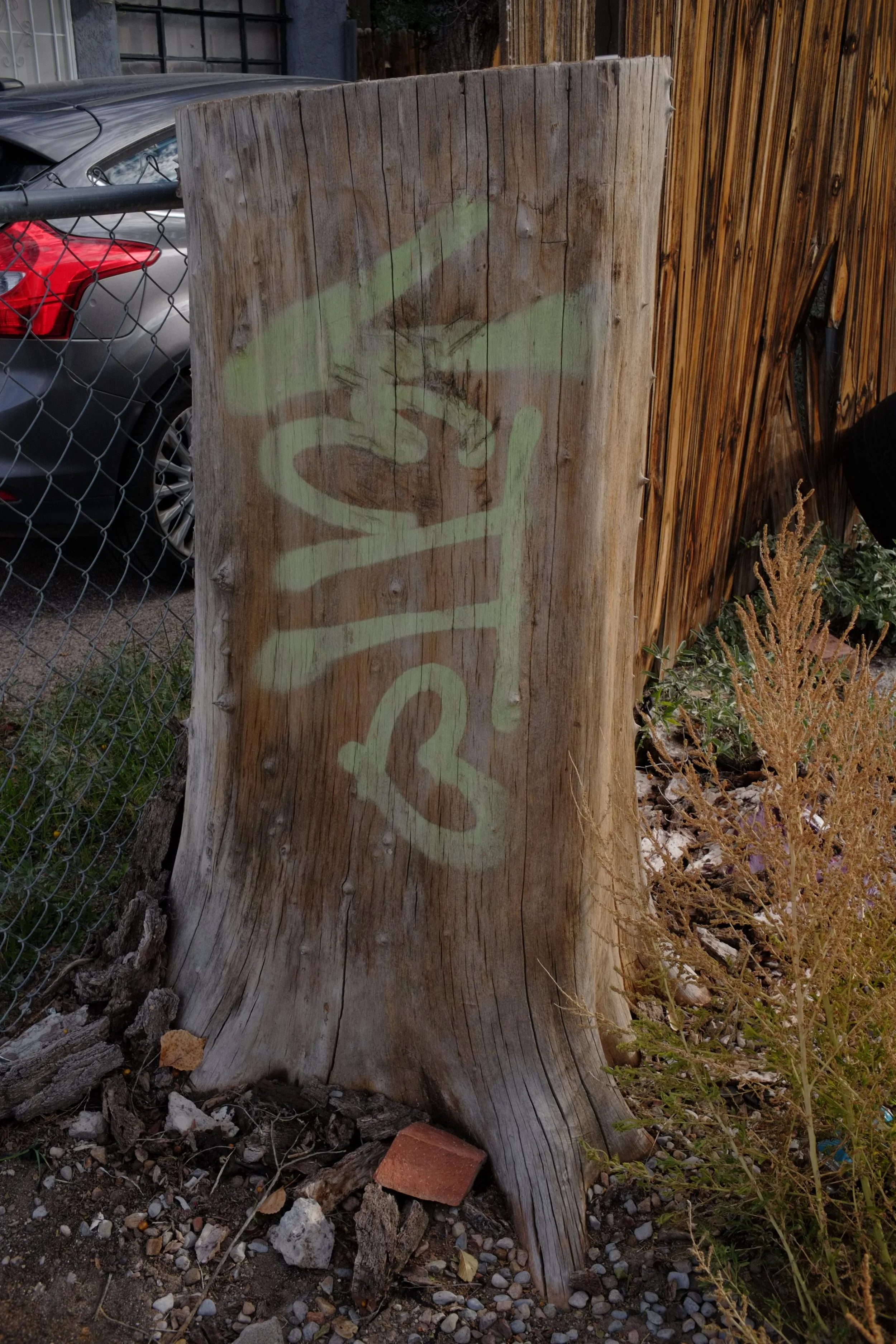 DSCF1147.JPG
