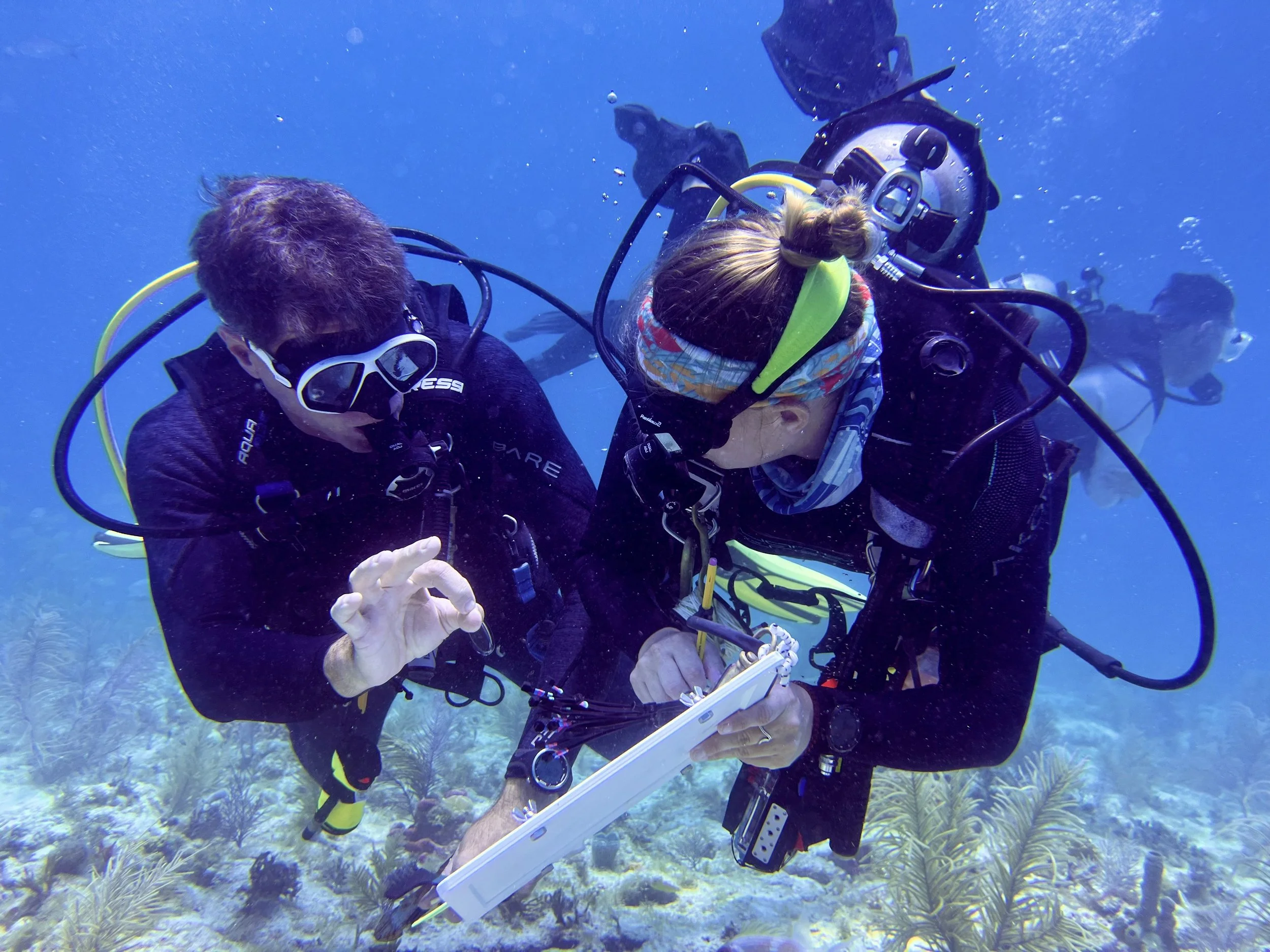 Two scuba divers underwater with coral reef, one is writing on a waterproof notepad while the other uses a tablet device.