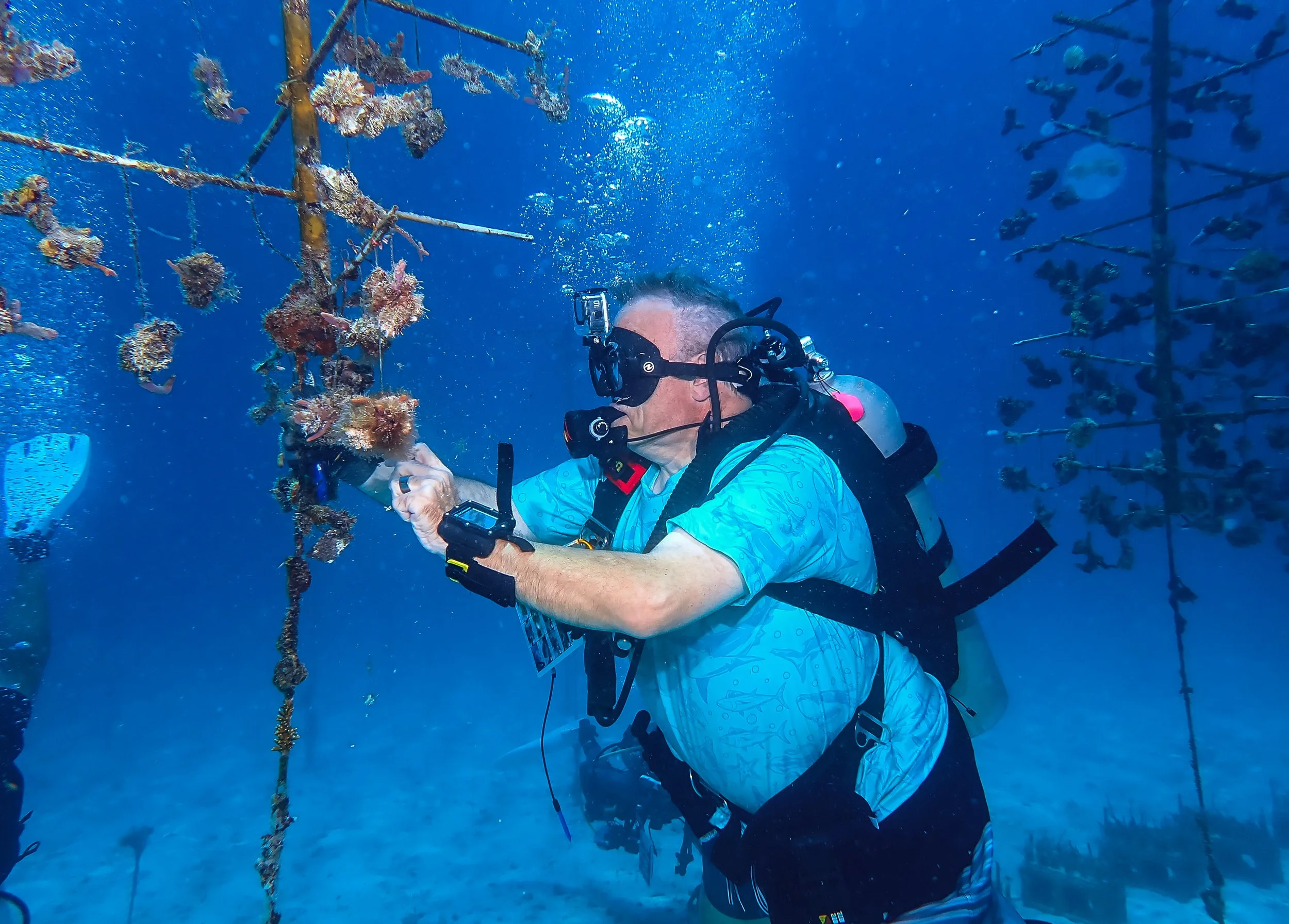 A scuba diver underwater examining coral reefs and marine life, wearing a blue shirt, mask, regulator, and carrying a dive computer.