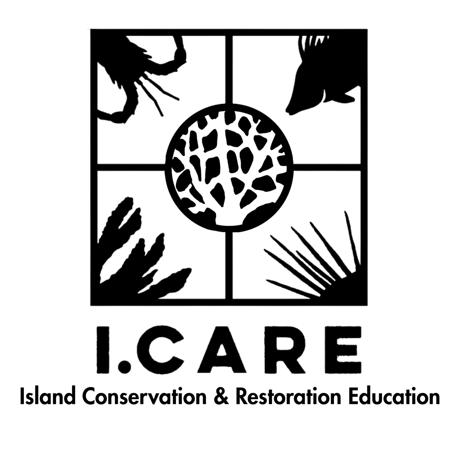 I.CARE