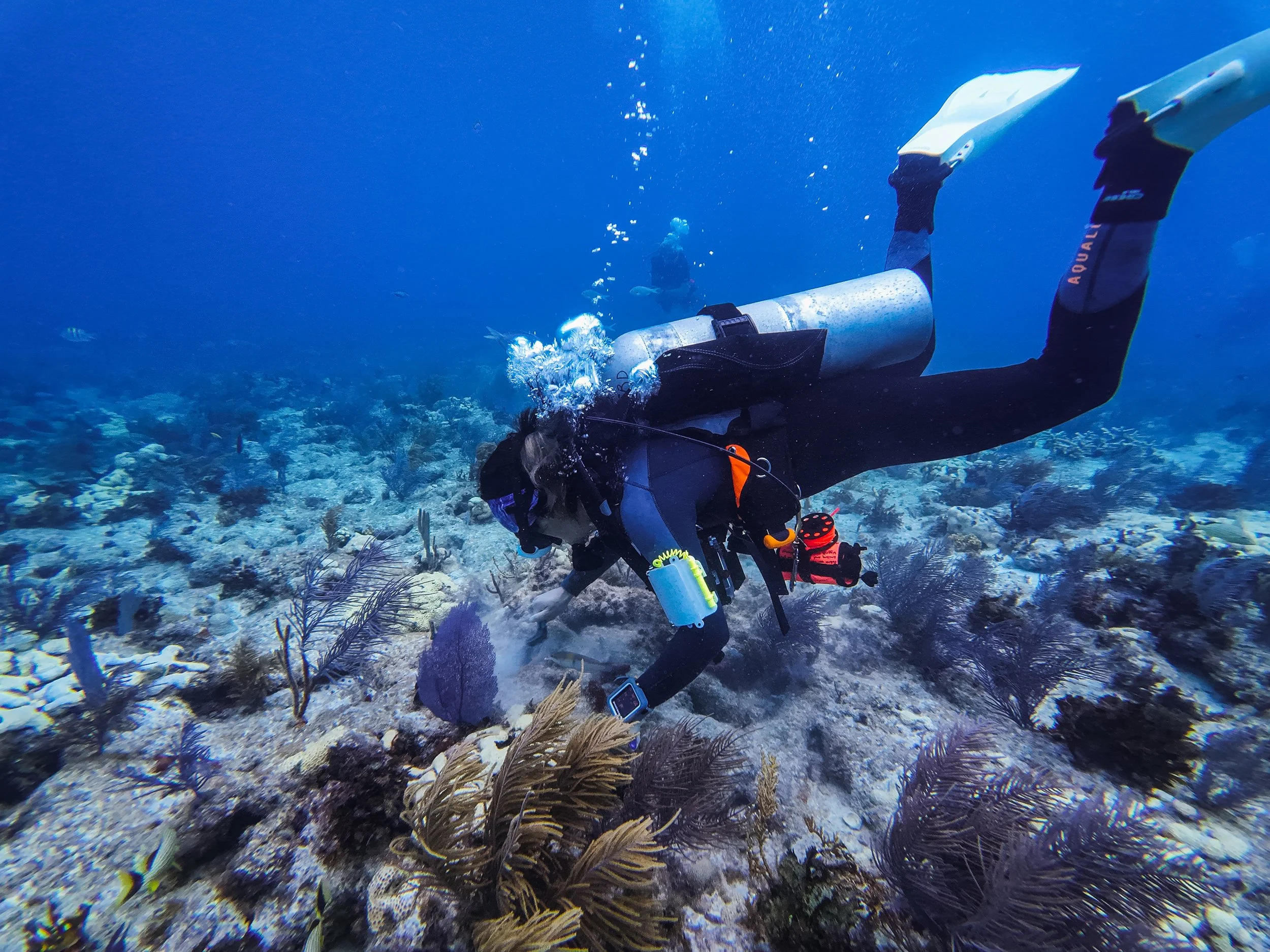 A person scuba diving underwater near a coral reef with colorful fish, wearing a wetsuit, gloves, mask, and fins.