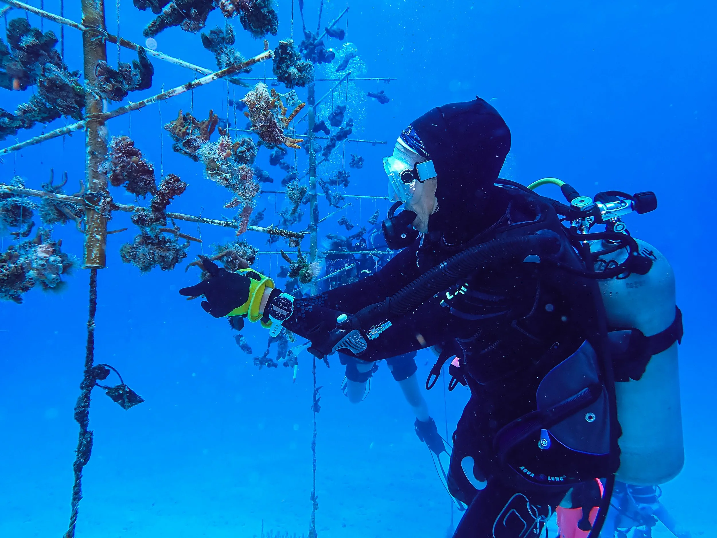 A scuba diver in a black wetsuit, mask, and gloves underwater, examining a structure made of metal and coral with fish swimming around.