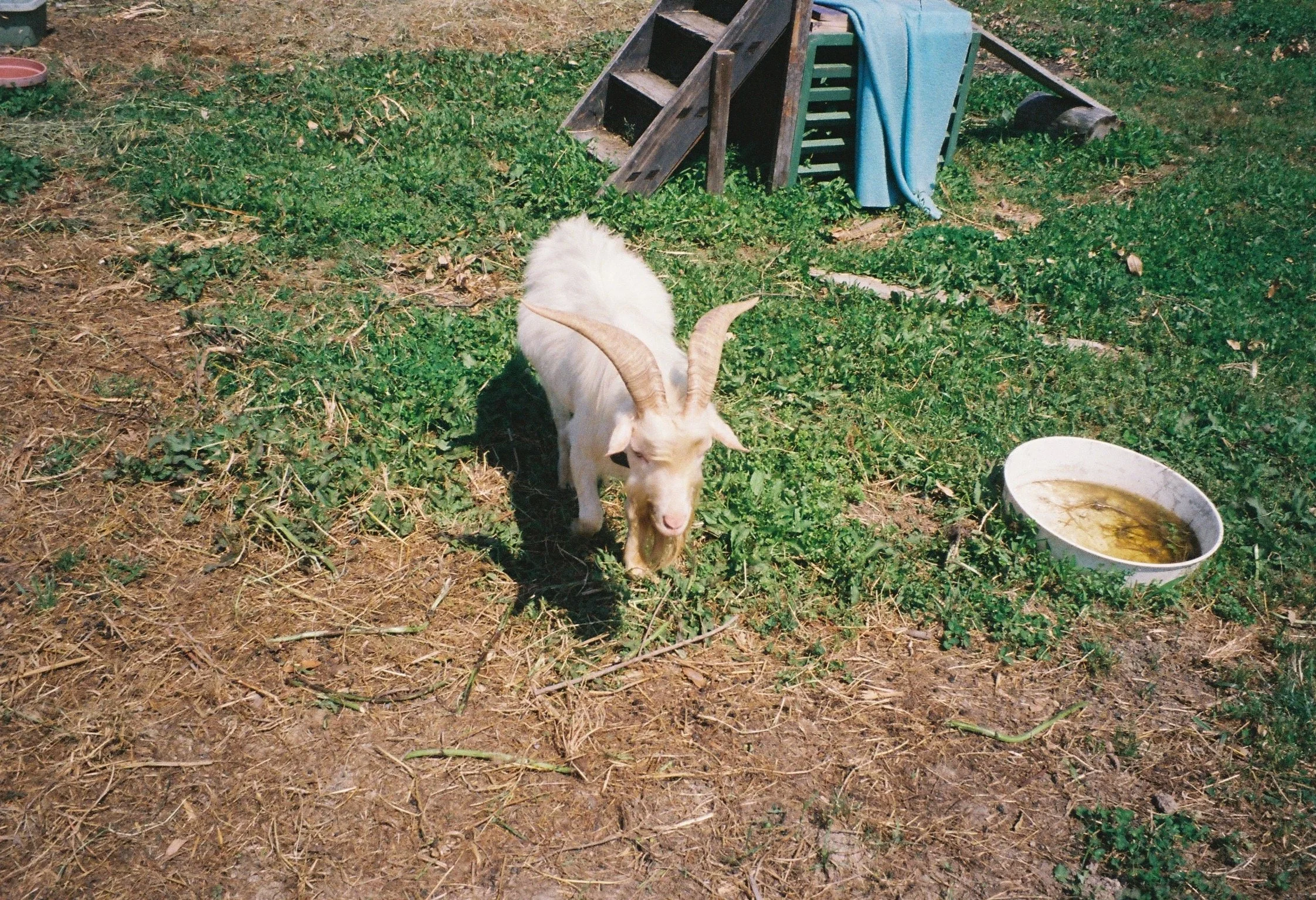 IMG_2710.JPG