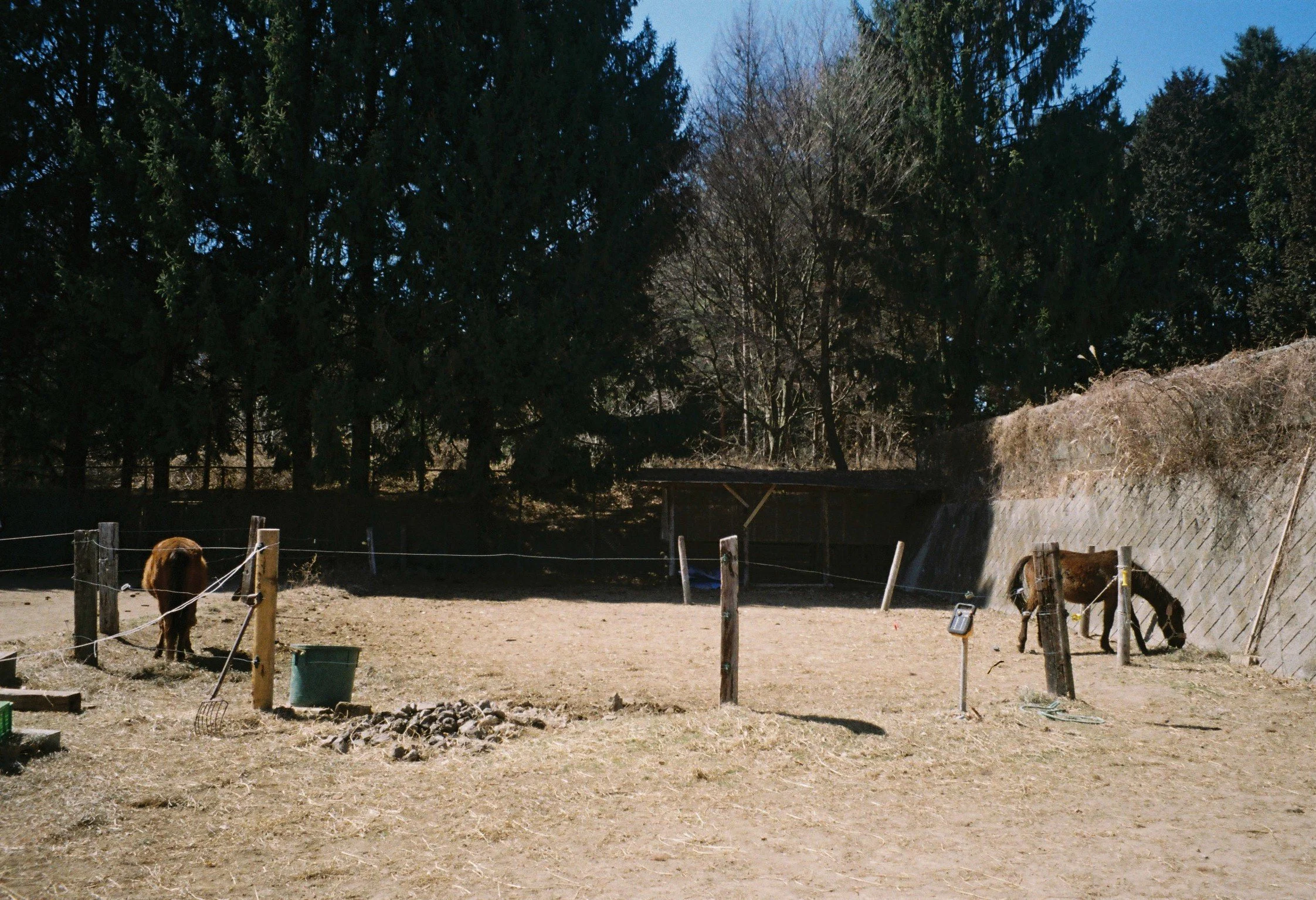 IMG_1590.JPG