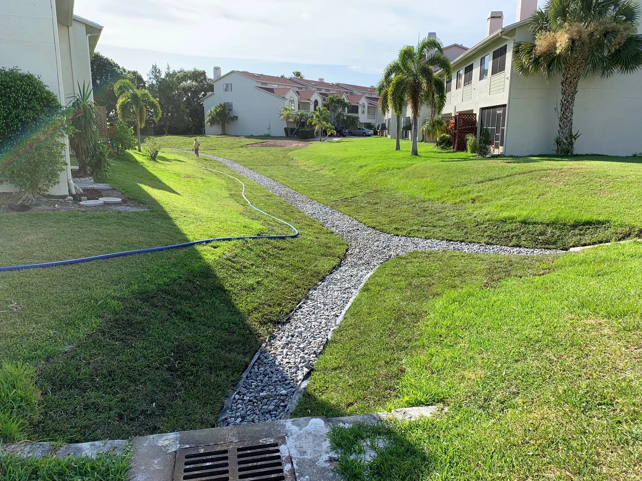 A landscaped courtyard between two apartment buildings with palm trees, a small stone pathway, a person walking, and a garden hose on the grass. Finished underdrain project.
