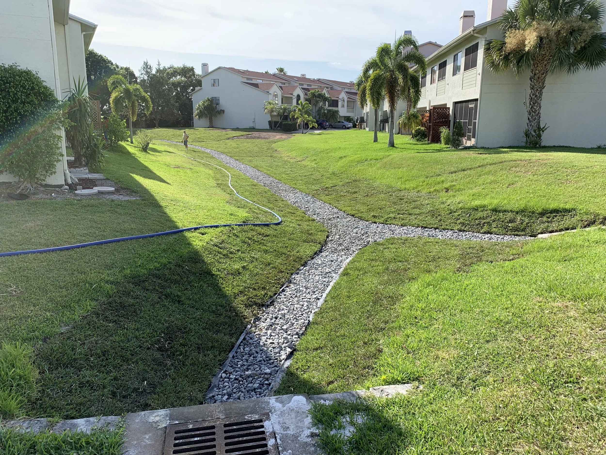 A grassy area with a gravel pathway running through it, surrounded by residential buildings, palm trees, and a person watering the grass.