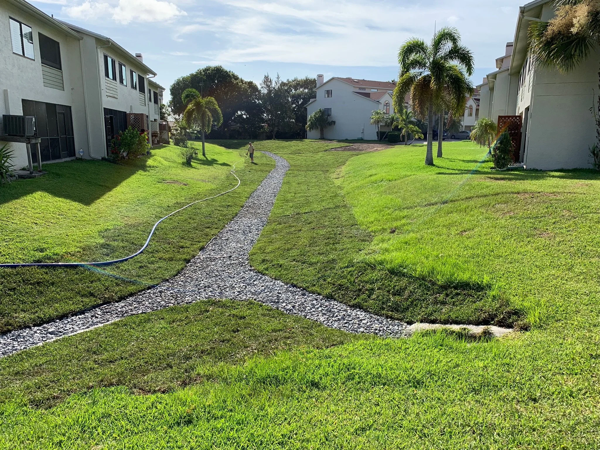 A grassy courtyard between white multi-story residential buildings with large windows, palm trees, a stone pathway, and a person watering the lawn on a sunny day. Finished under drain project.