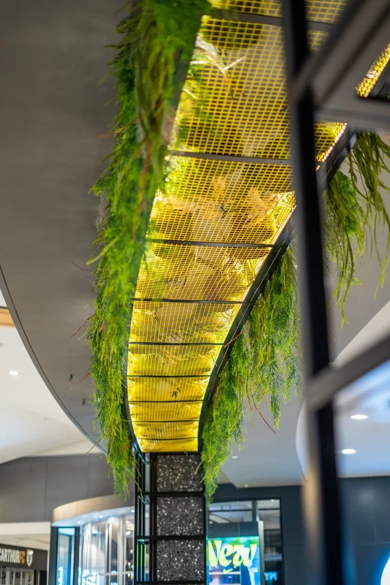 Kutting Edge-Macarthur Square-03.jpg